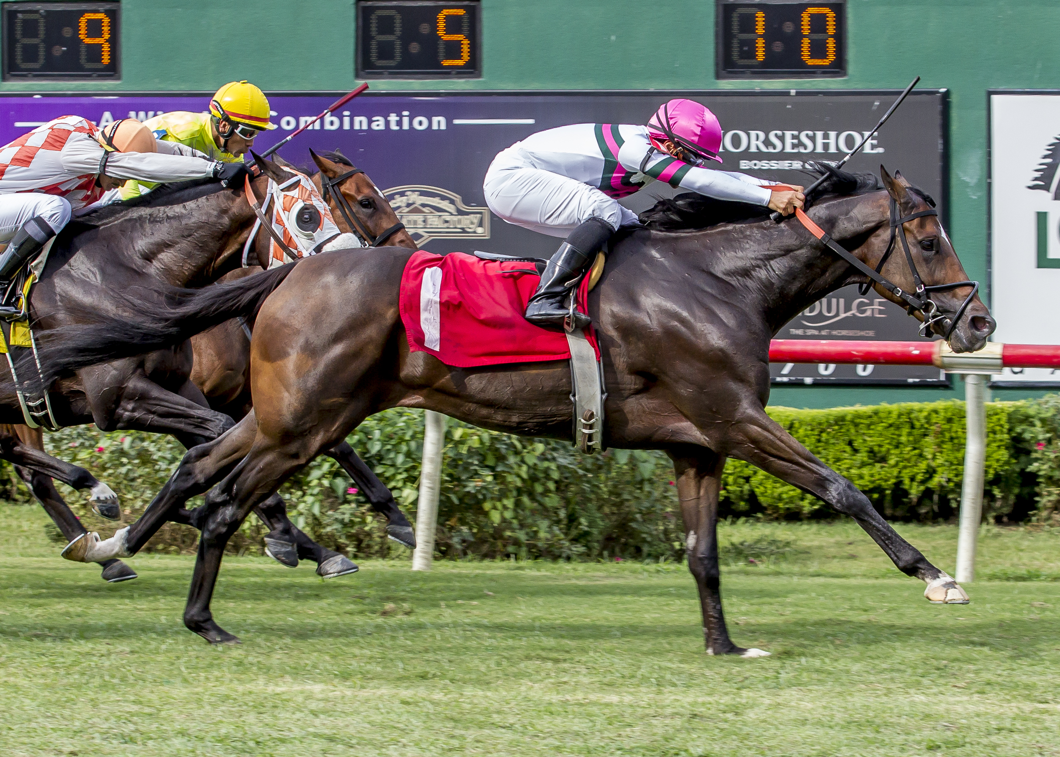 Sunbean wins the Louisiana Cup Turf Classic