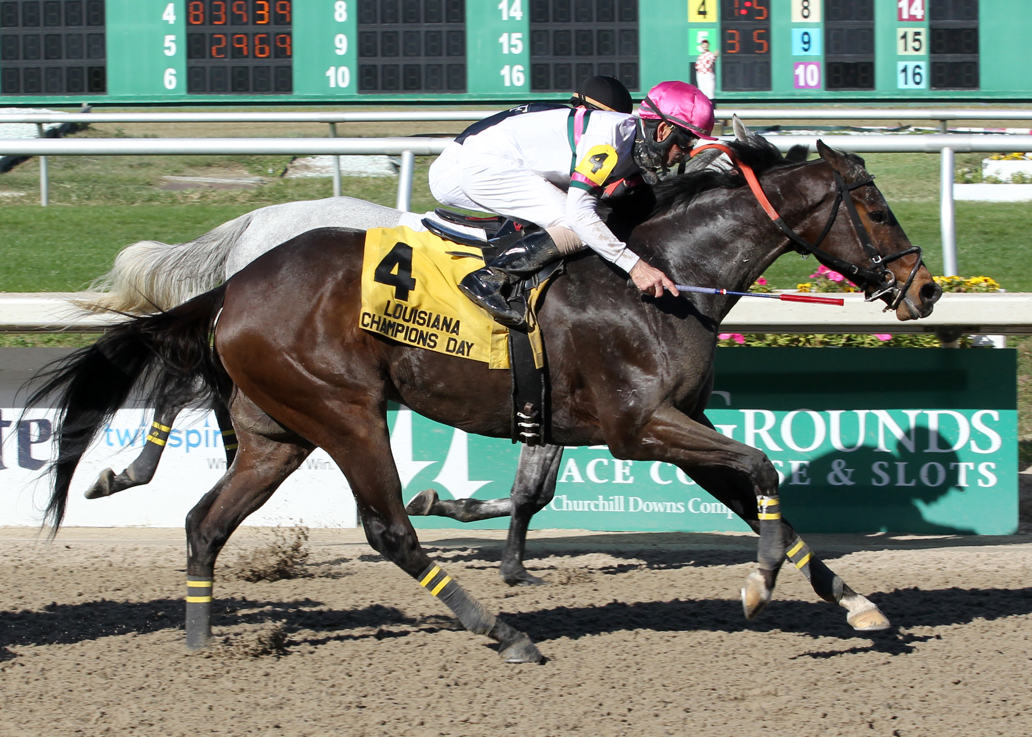 Sunbean wins the 2014 Louisiana Champions Day Classic