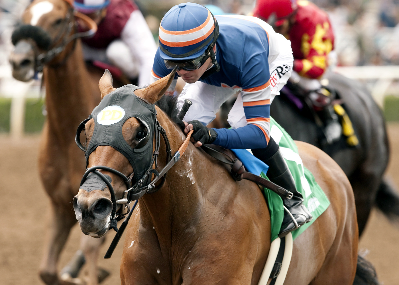 Sunday Rules wins the Spring Fever Stakes