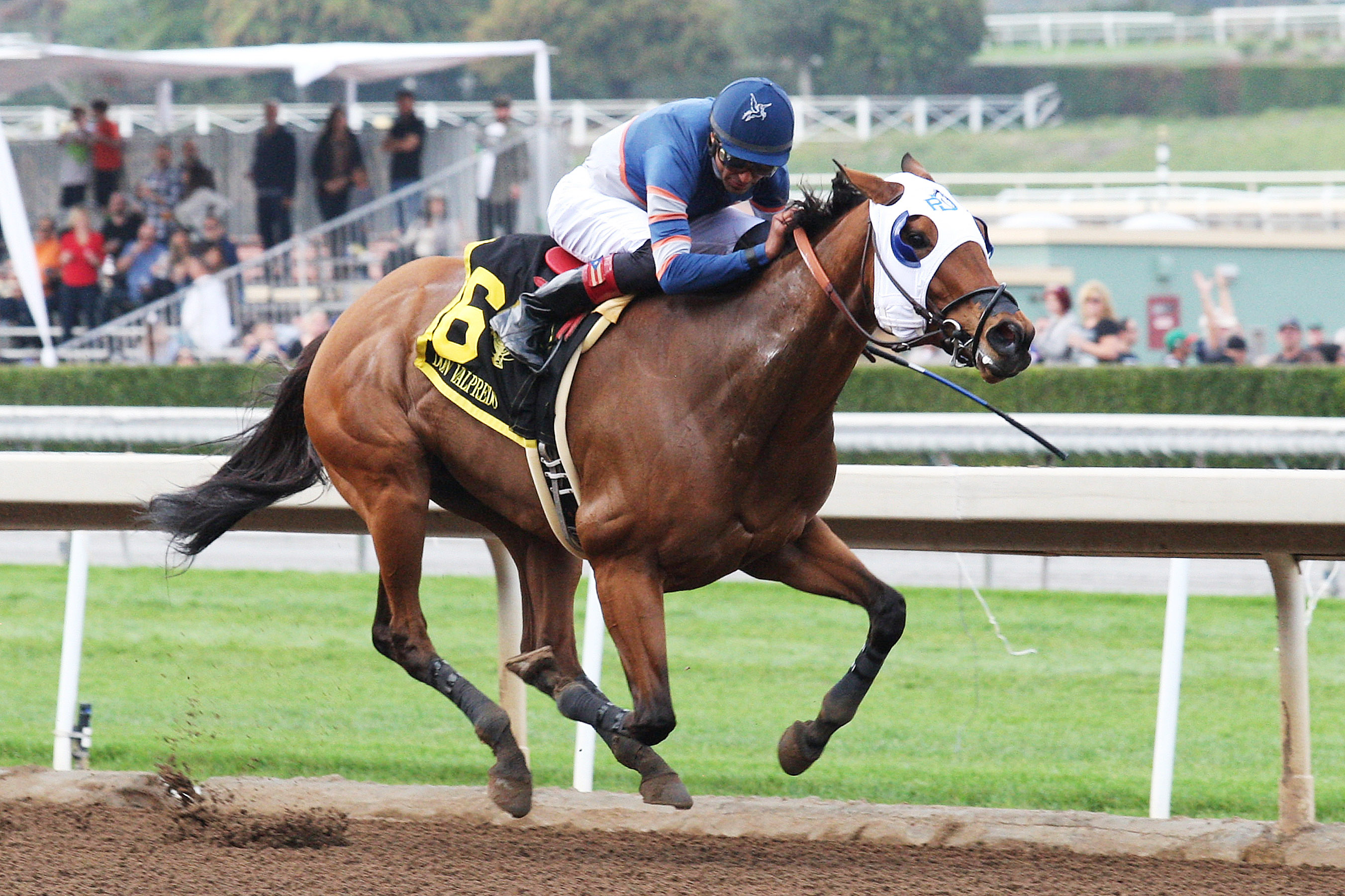 Sunday Rules wins the California Cup Sprint Stakes