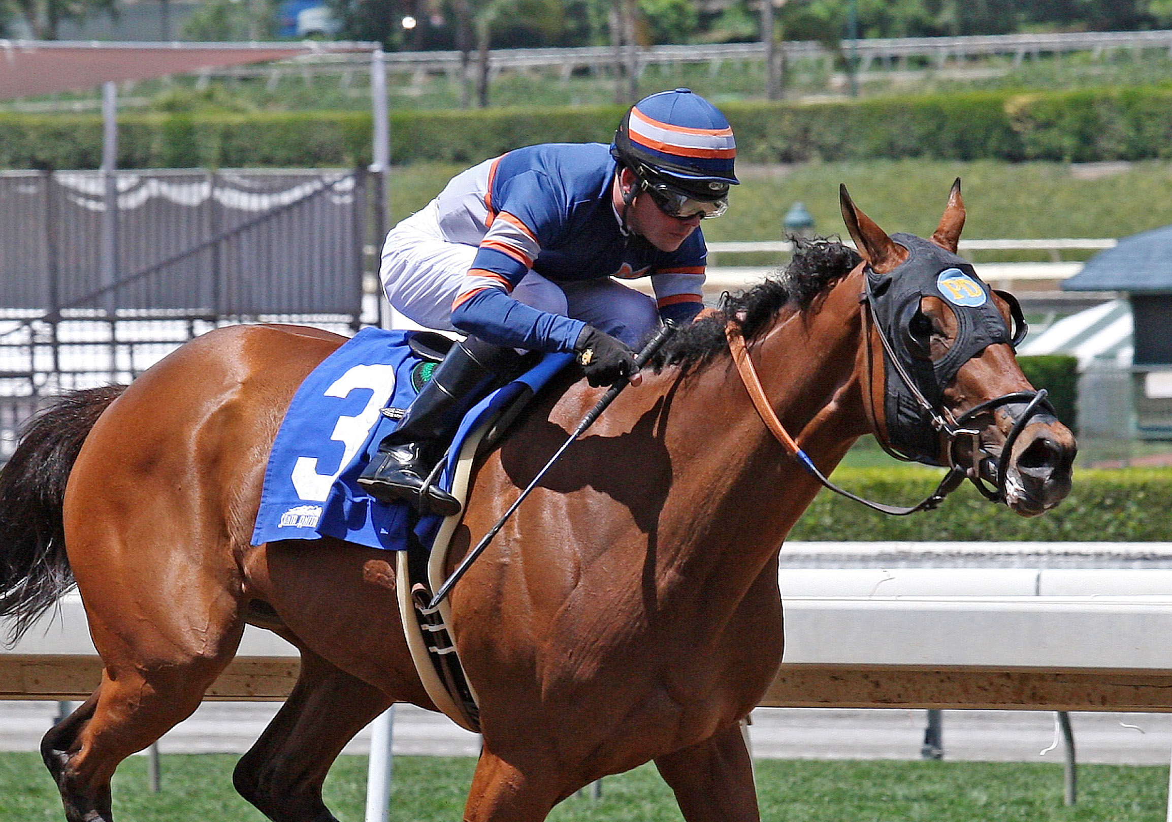 Sunday Rules wins an allowance race