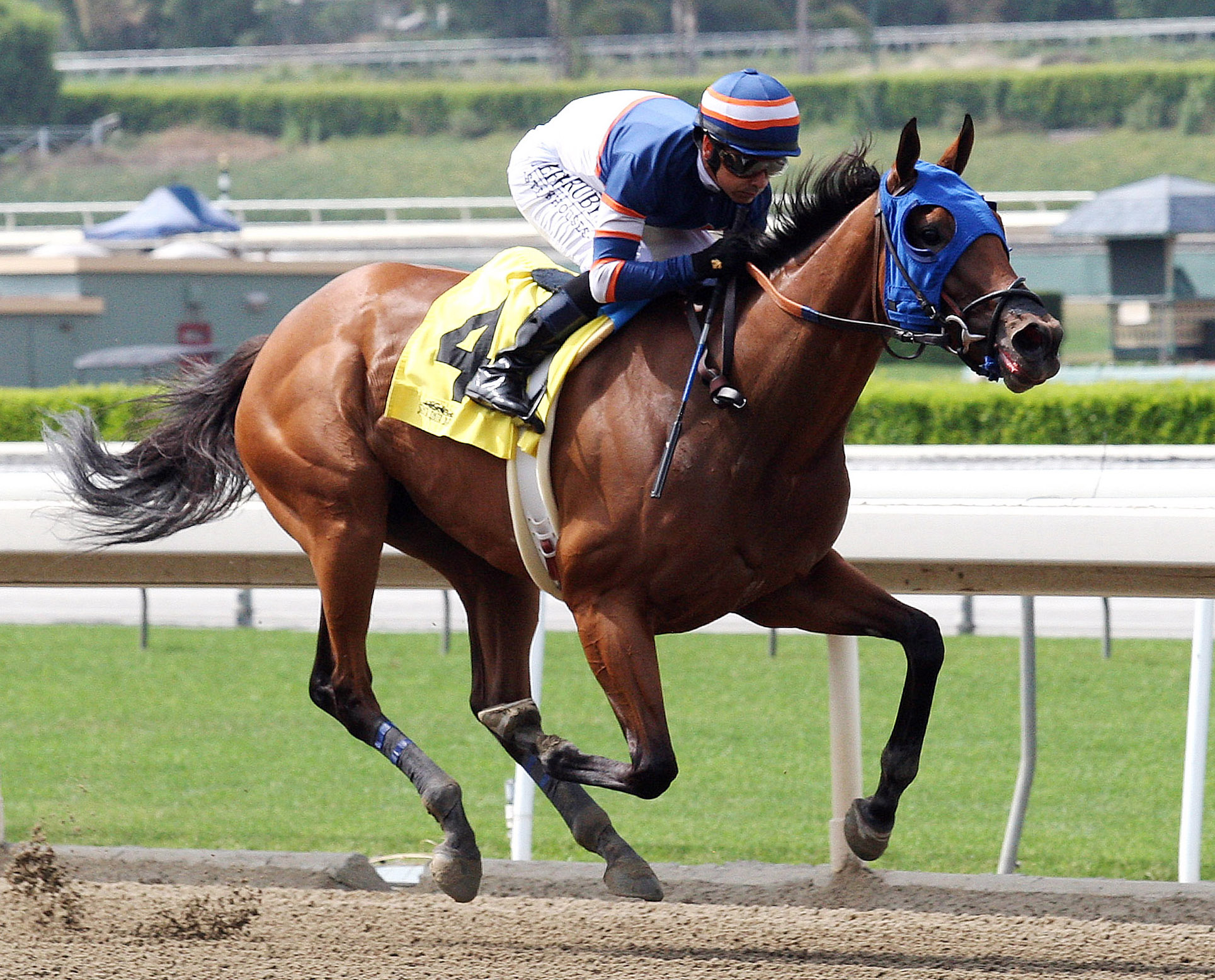 Sunday Rules wins an optional claimer