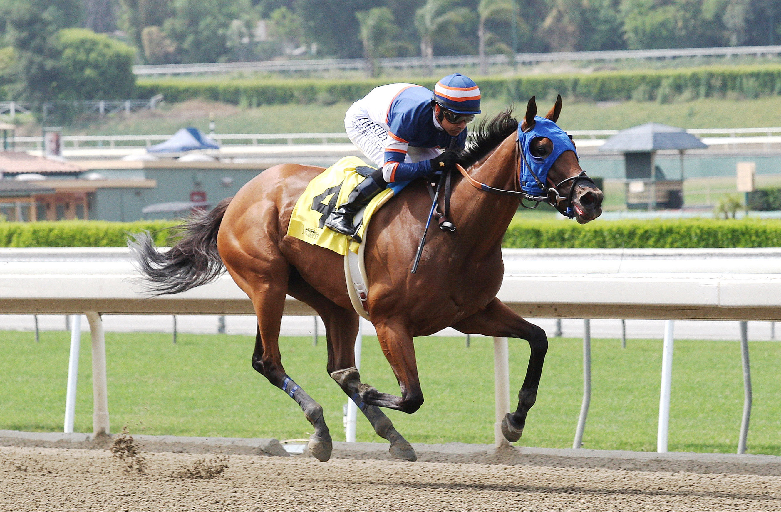 Sunday Rules wins an optional claimer