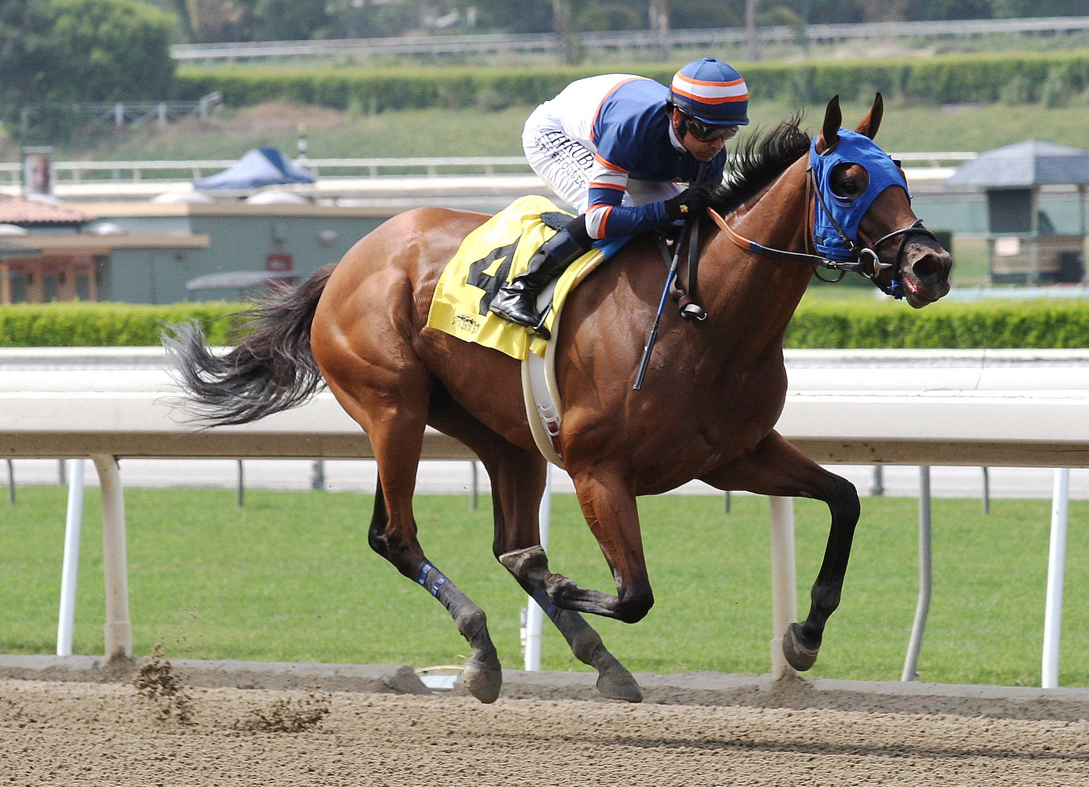 Sunday Rules wins an optional claimer