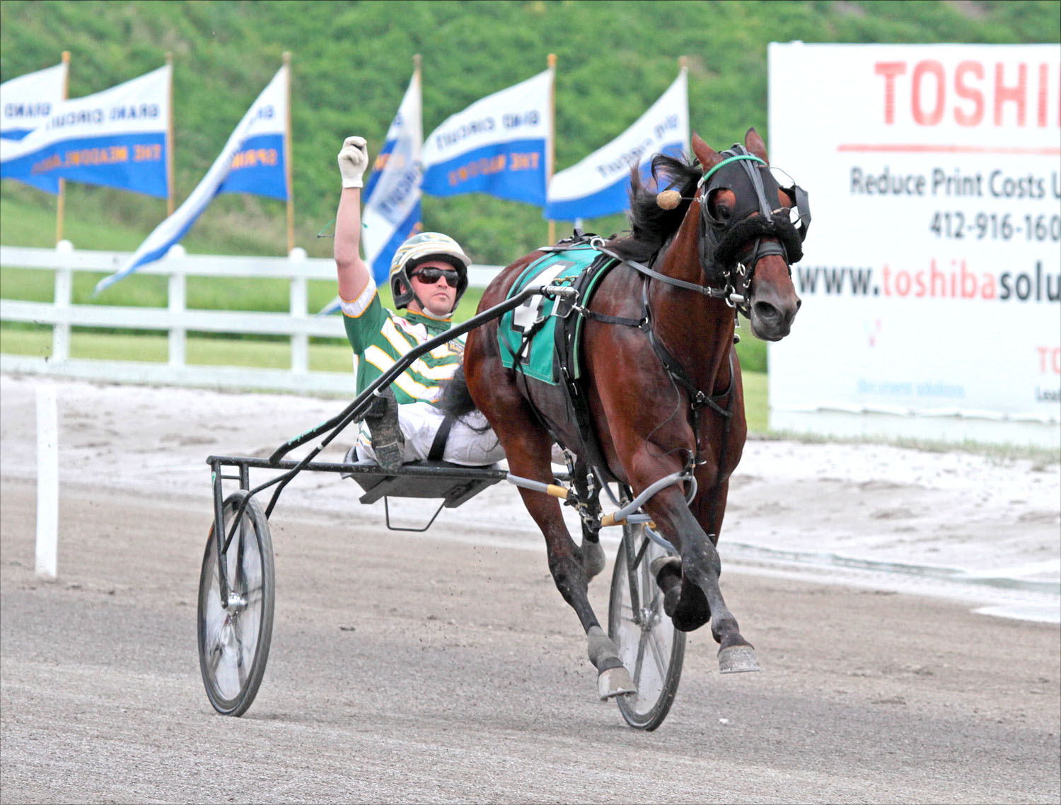 Sunfire Blue Chip_Adios