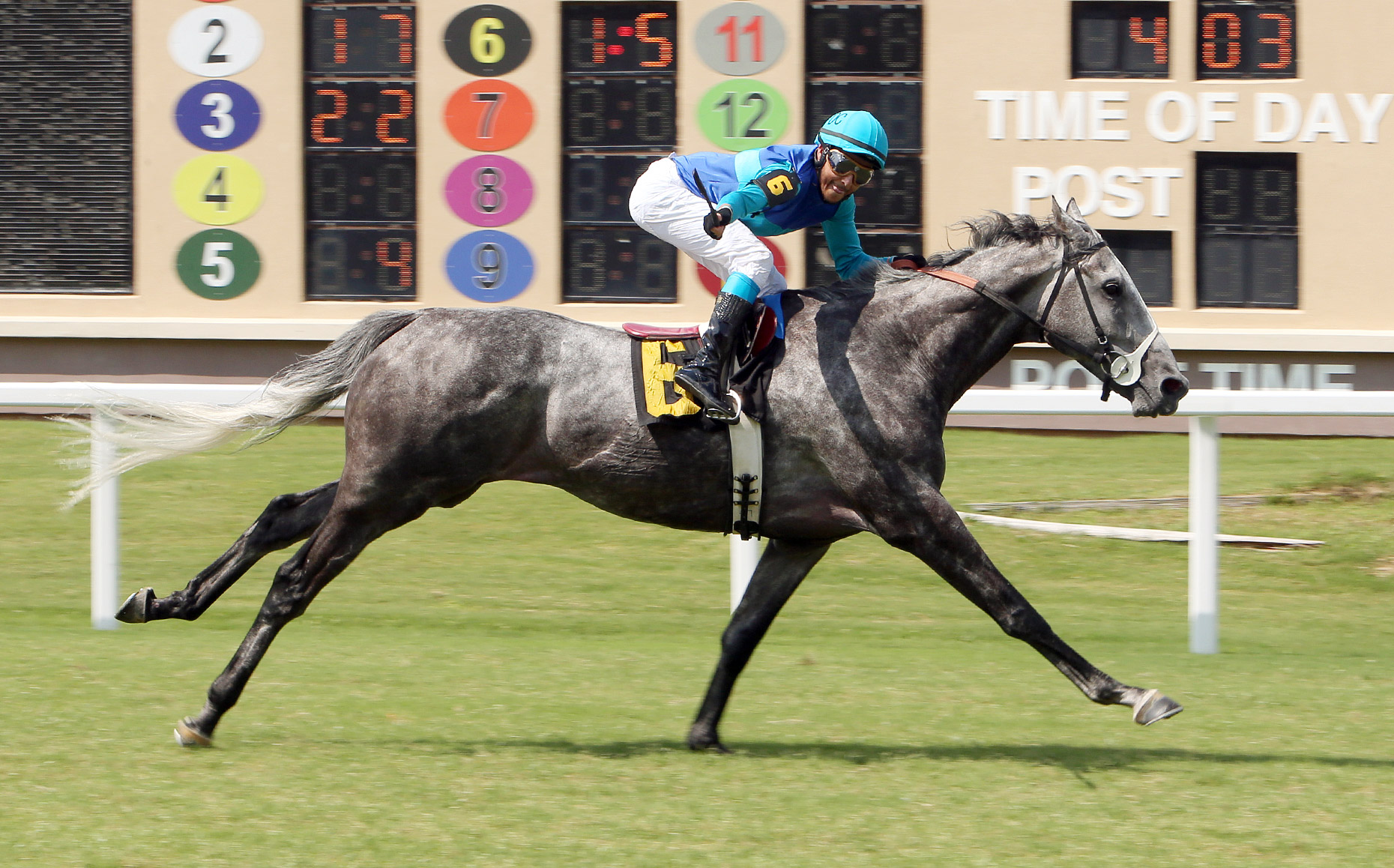Sunlit Song wins the 2021 Texas Horseracing Hall of Fames Stakes at Lone Star Park