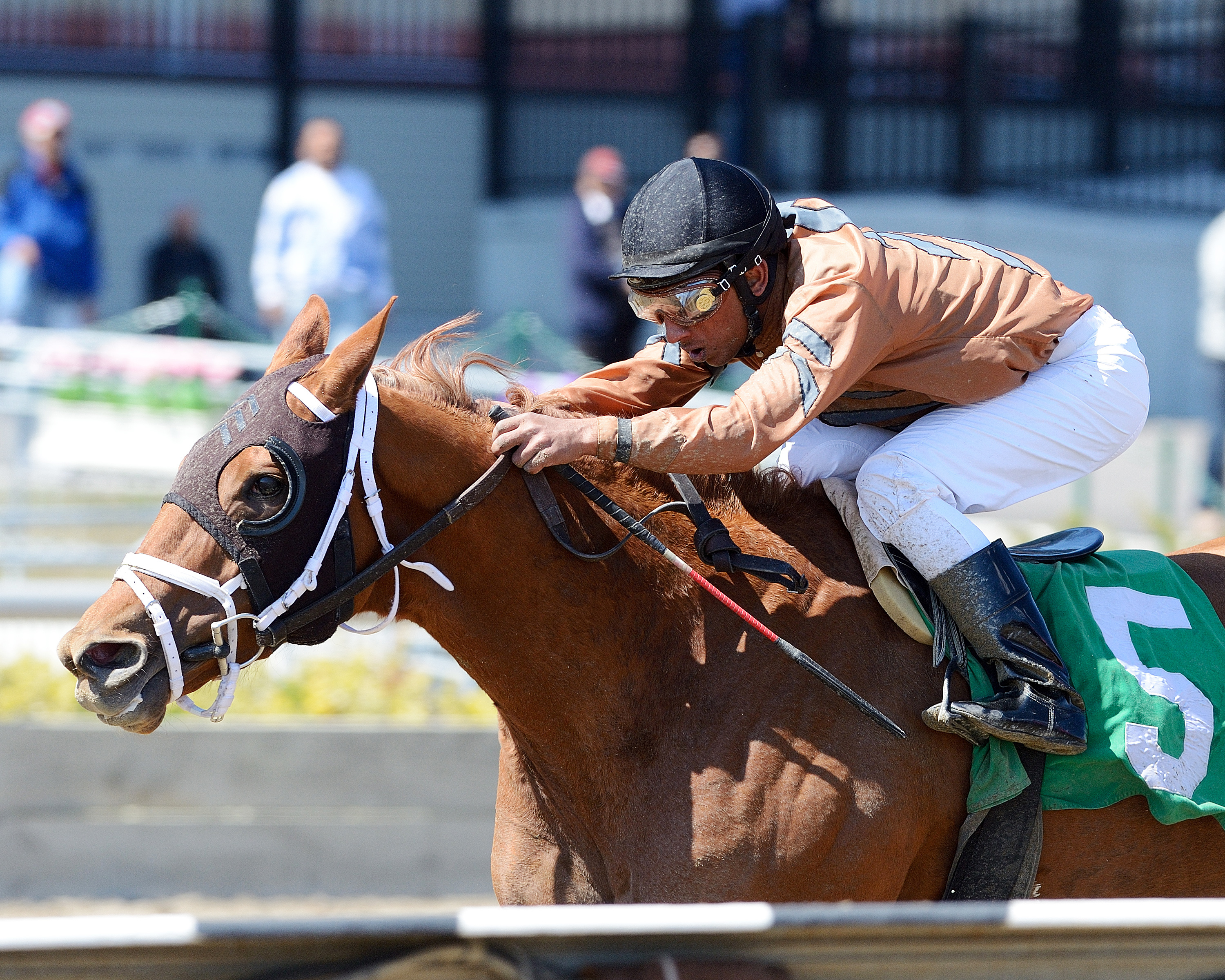 Sunny Desert wins the Shot Berry Stakes