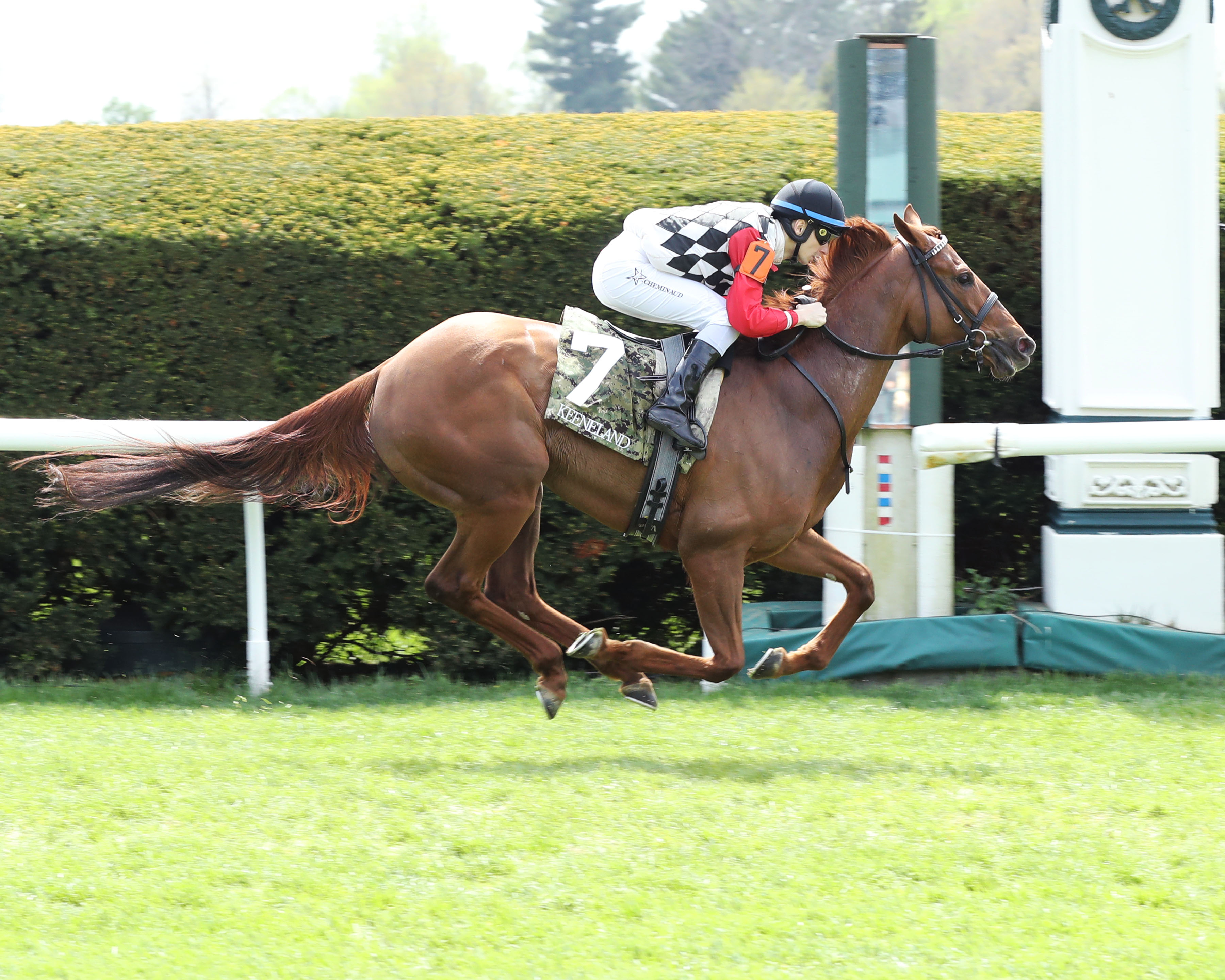 SUNNY ONE.allowance; Keeneland Race Course  Lexington, KY; April 24, 2022 .Vincent Cheminaud, Jockey