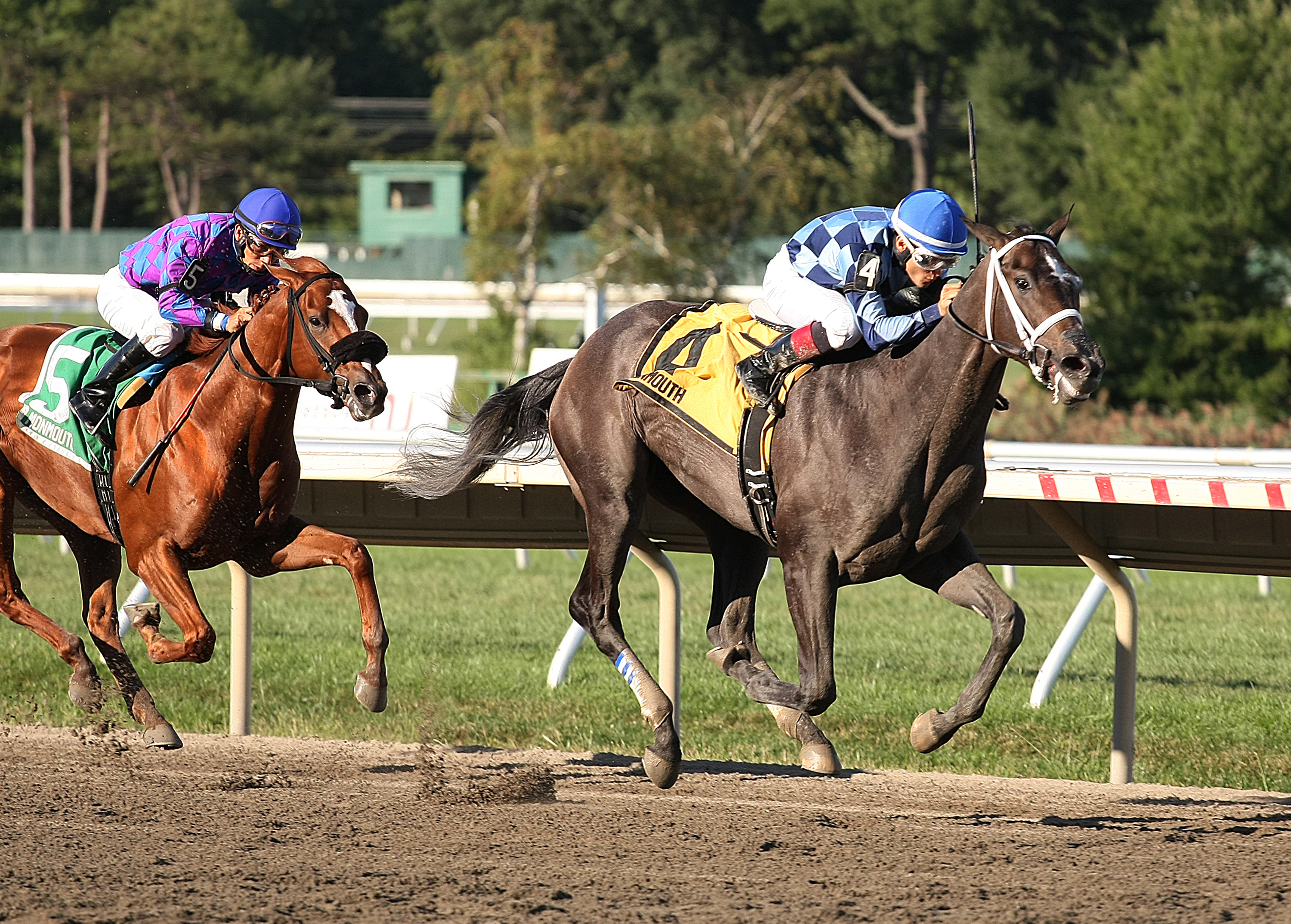 Sunny Ridge 9-6-2015