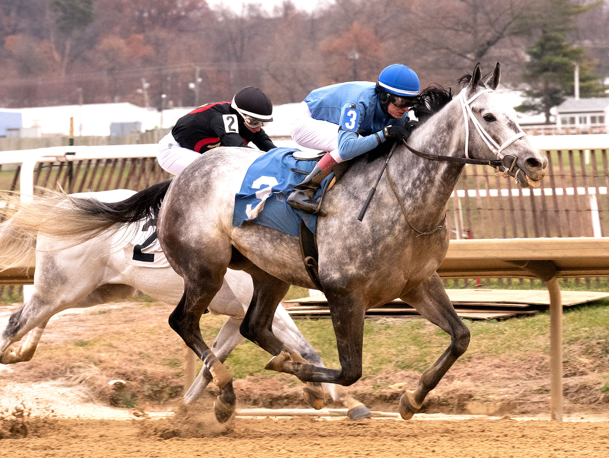 Sunny Ridge wins the 2019 Richard W. Small Stakes
