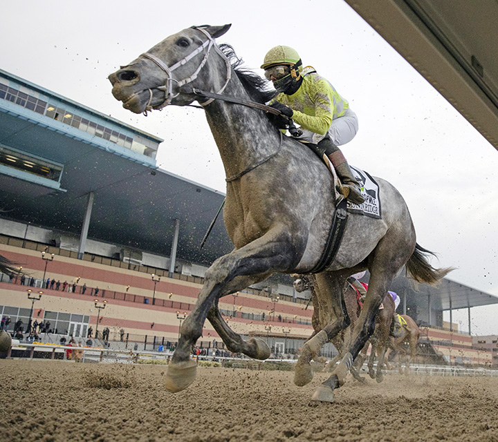 Sunny Ridge finishes third in the 2018 Cigar Mile
