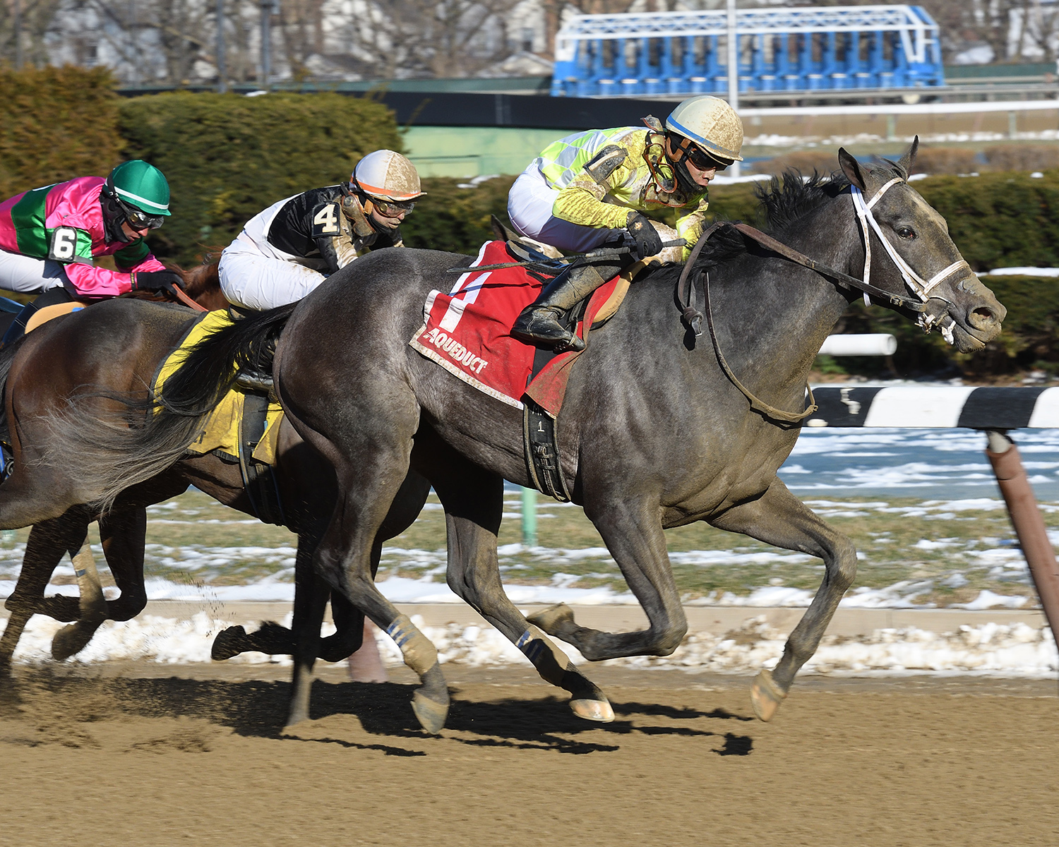 Sunny Ridge wins the 2017 Stymie Stakes