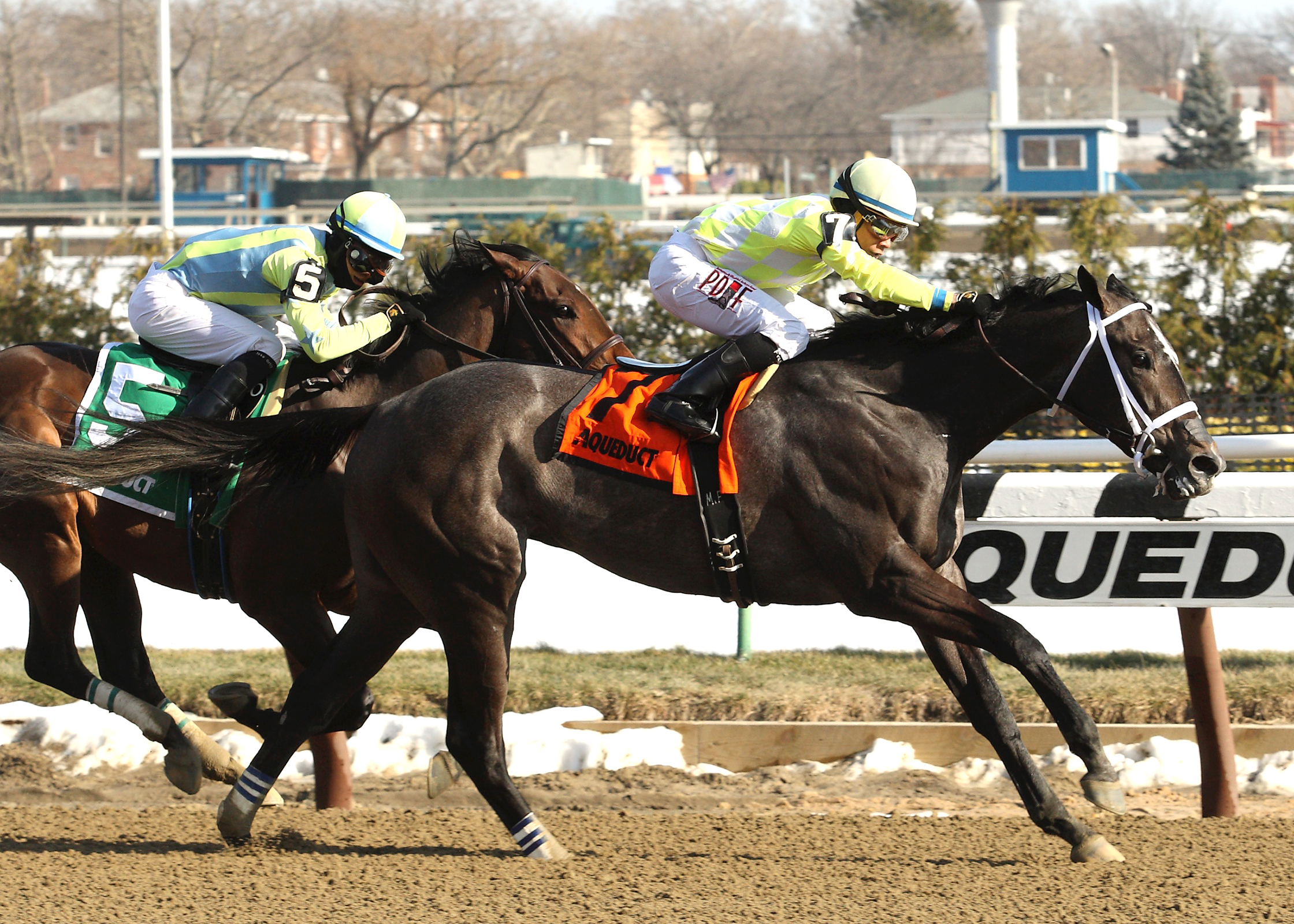 Sunny Ridge wins the Withers