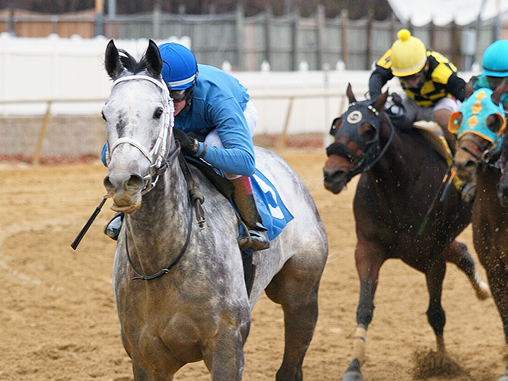 Sunny Ridge wins the 2019 Richard W. Small Stakes at Laurel Park
