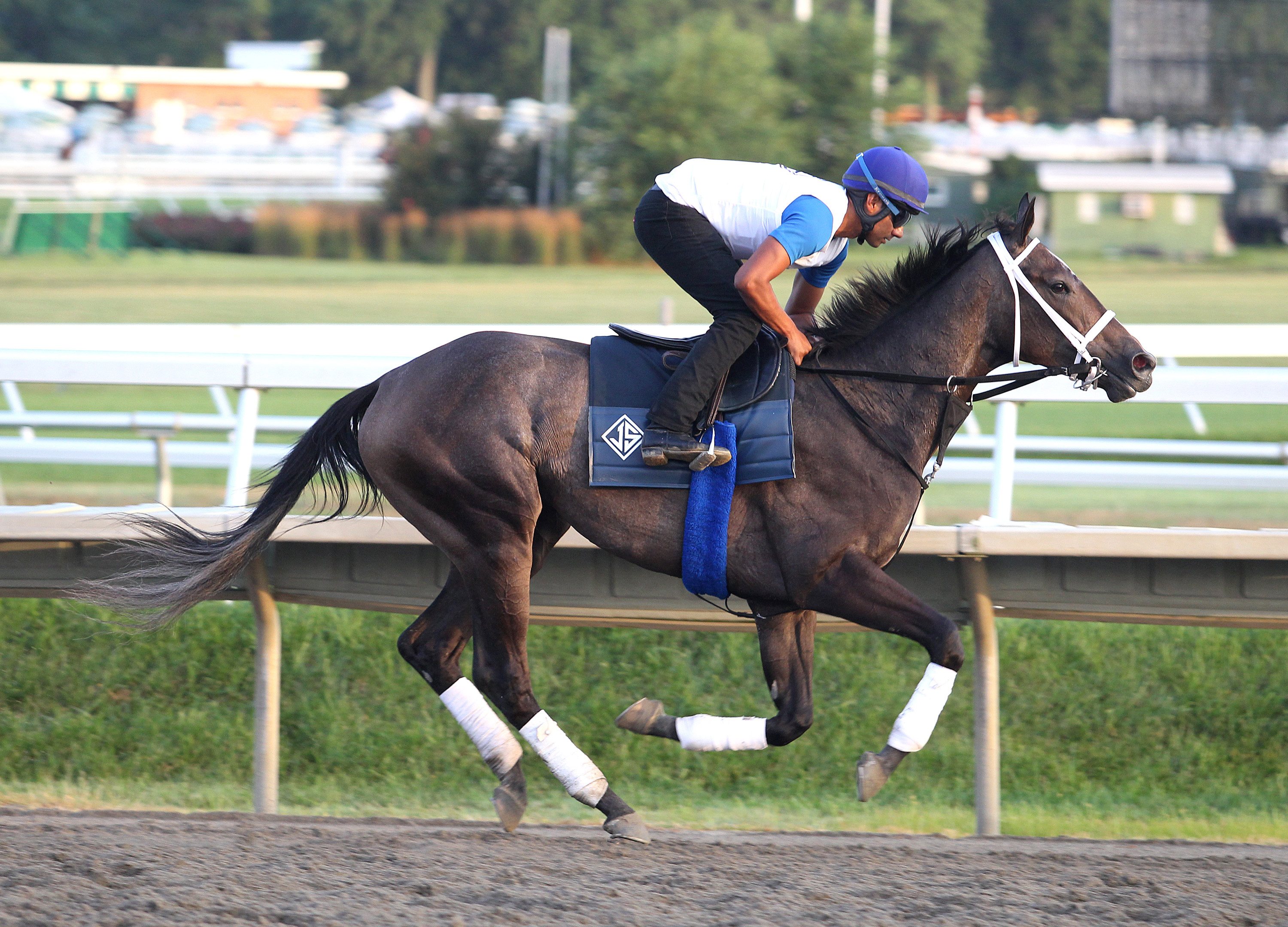 Sunny Ridge trains at Monmouth Park