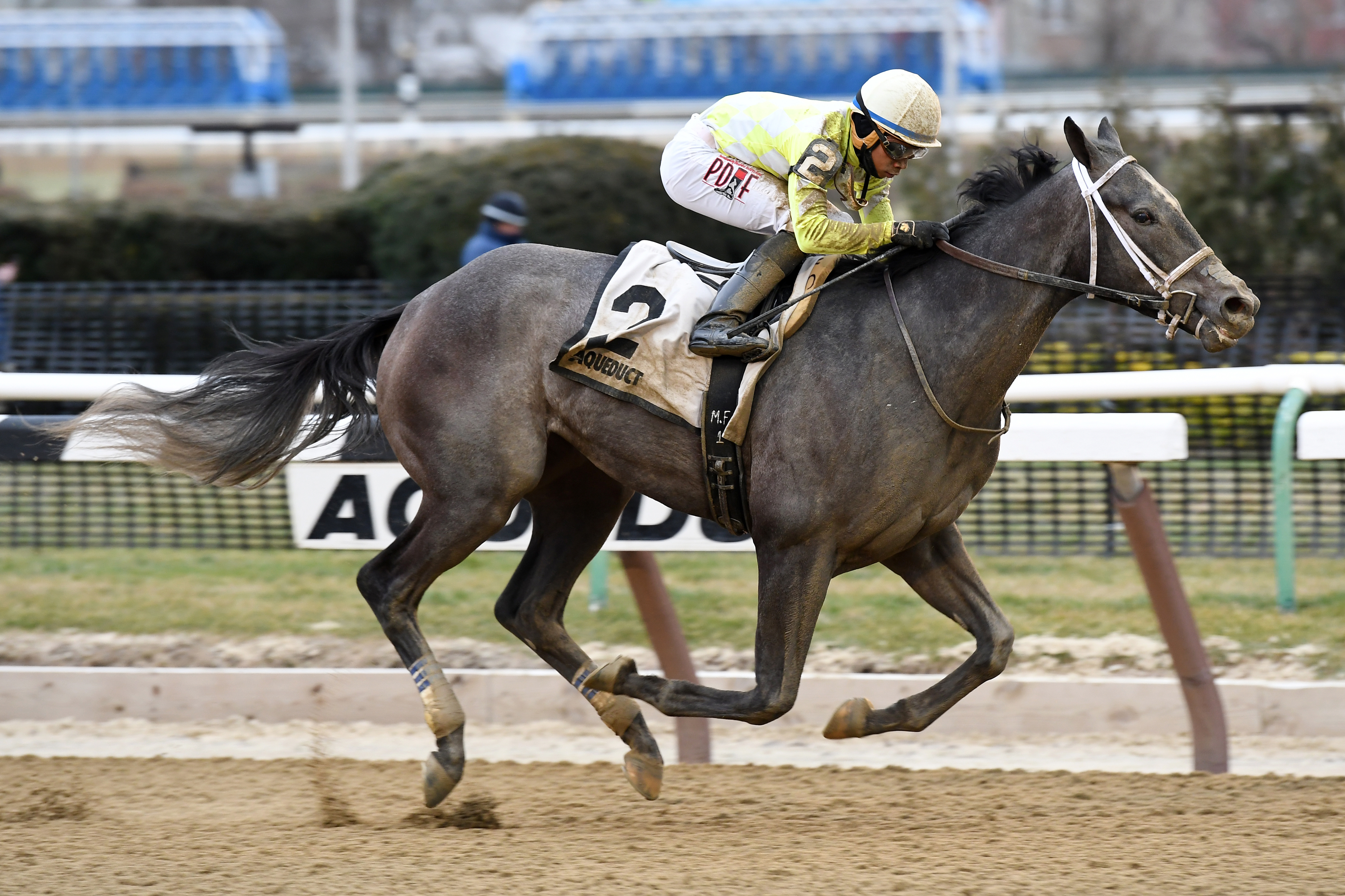 Sunny Ridge wins the Jazil Stakes
