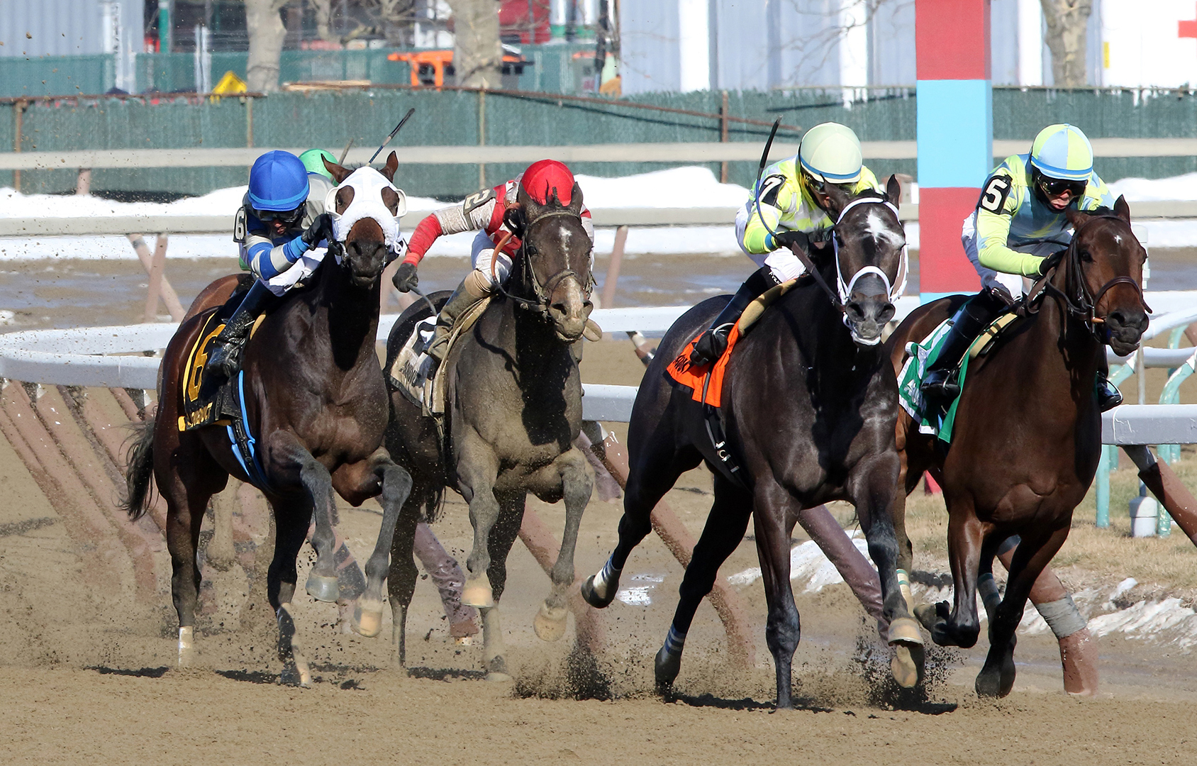 Adventist finishes third in the Withers