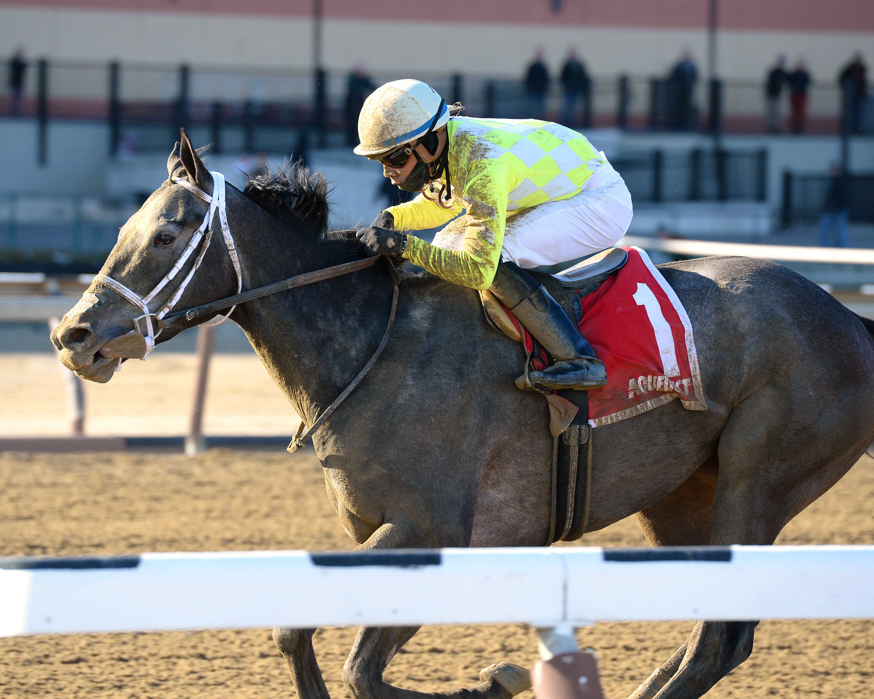 Sunny Ridge wins the Stymie Stakes