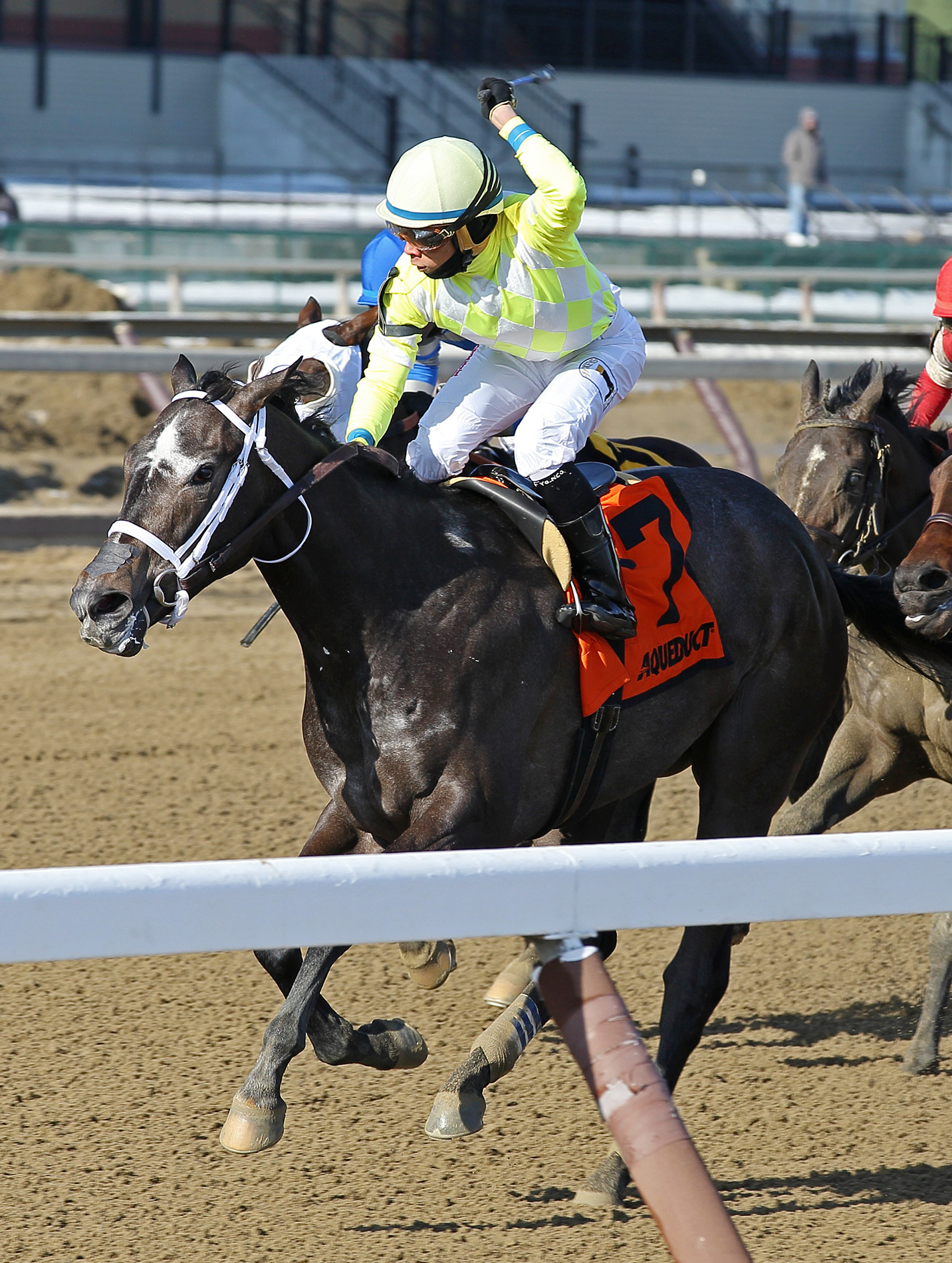 Sunny Ridge wins the Withers