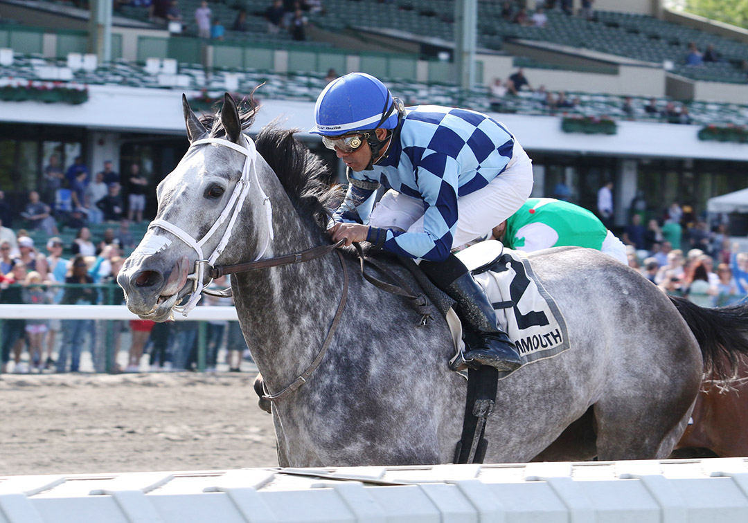 Sunny Ridge wins the Grade 3 Salvator Mile at Monmouth Park in 2019