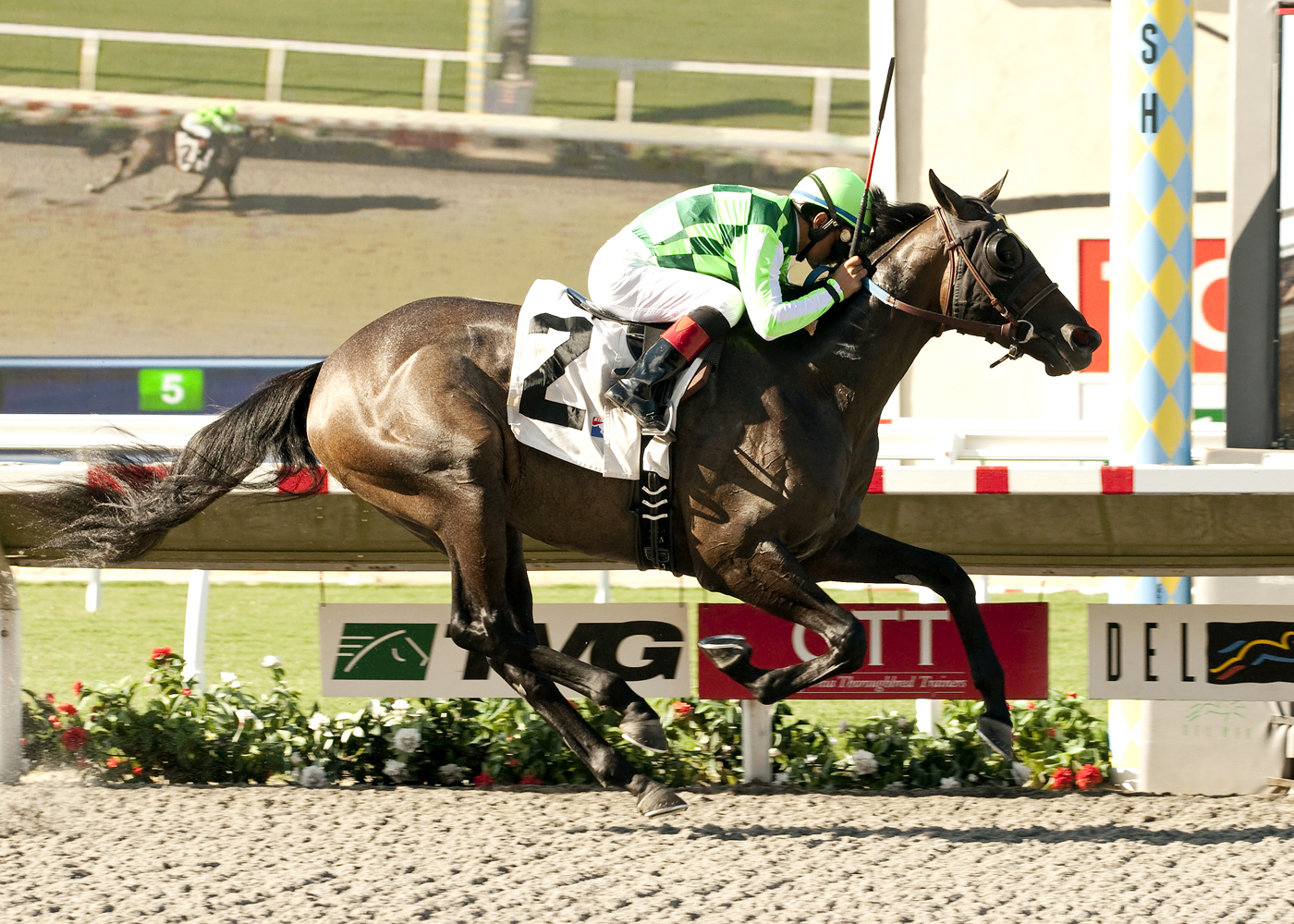 Sunset Glow wins the Sorrento Stakes
