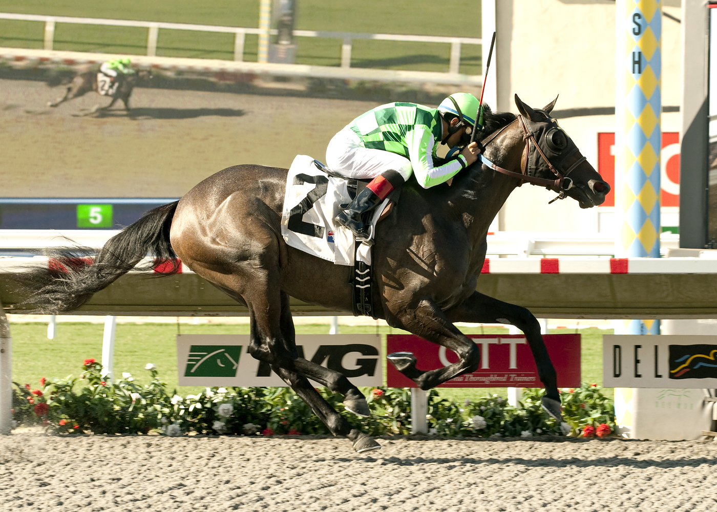 Sunset Glow wins the Sorrento Stakes