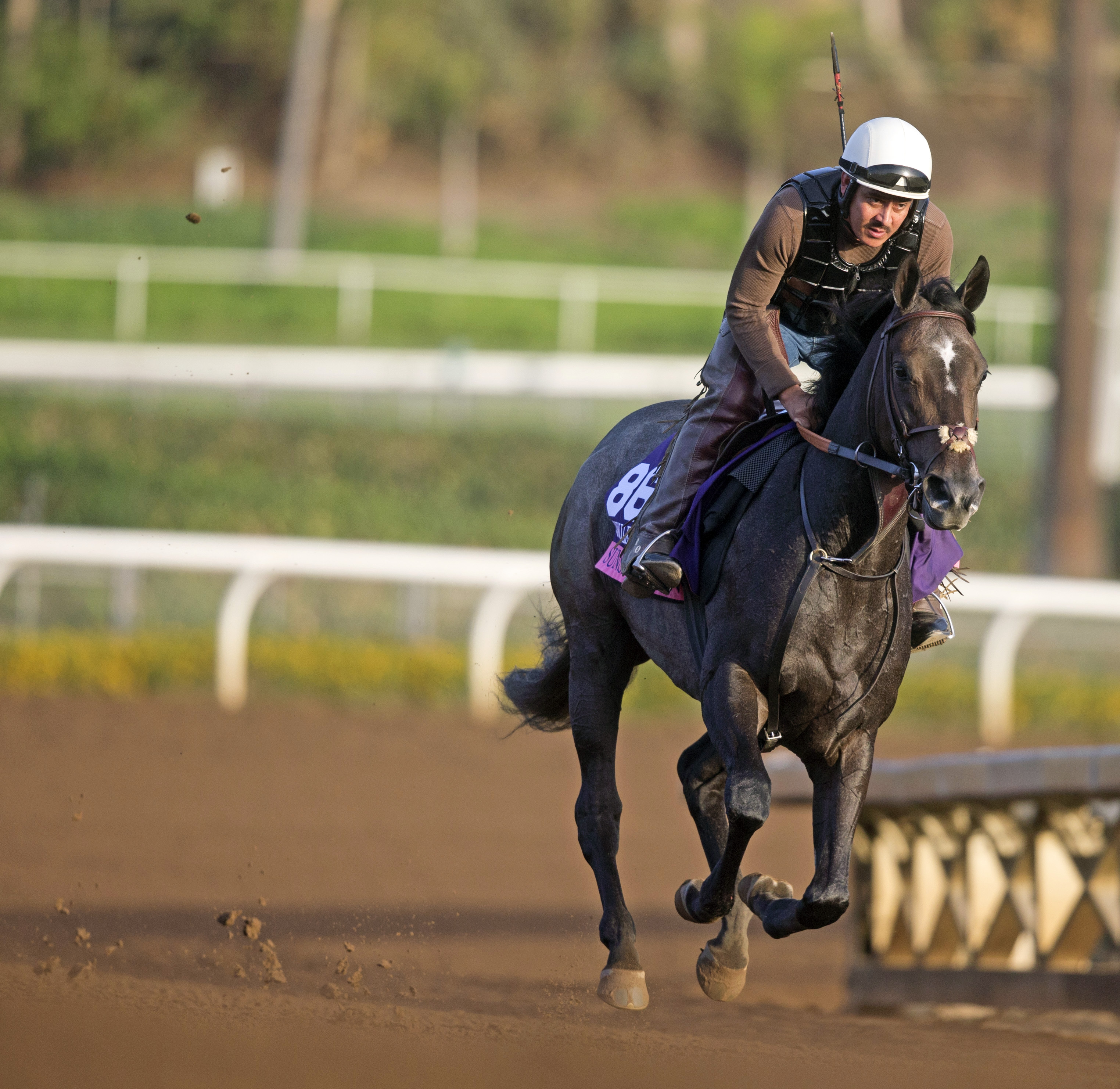 Sunset Glow trains at Santa Anita on Oct. 27