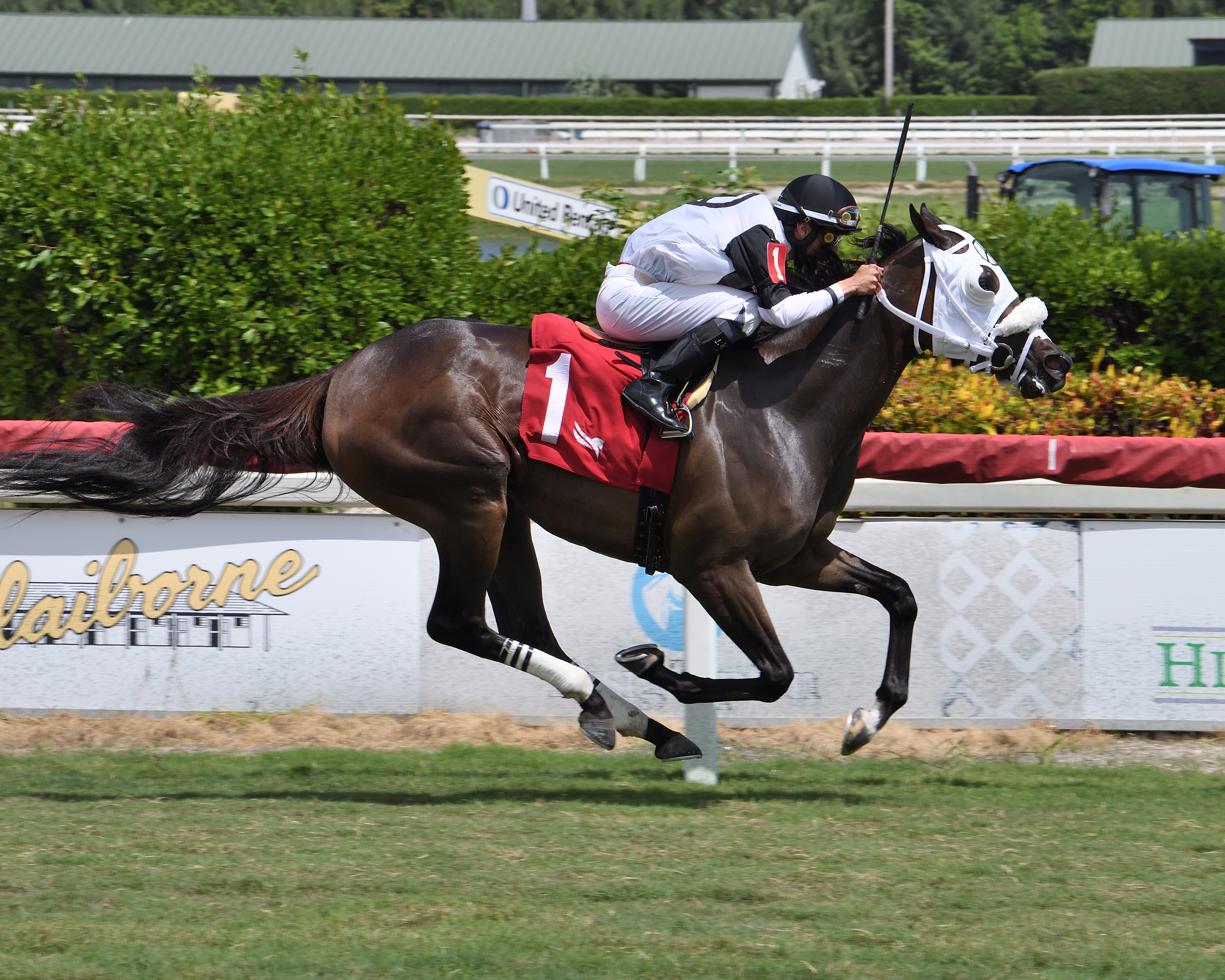 Sunshine City/Miss Gracie Stakes