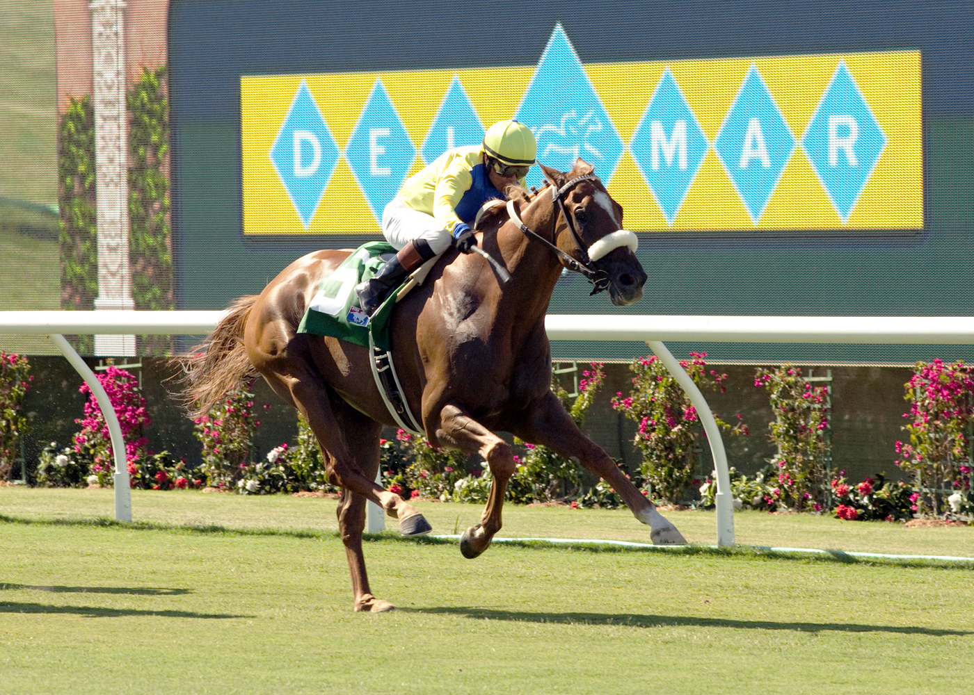 Super Ability wins the first race on the new Del Mar turf course