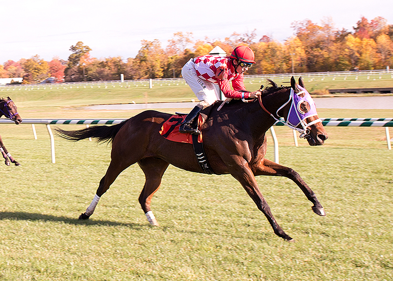 Super Chunky wins an allowance