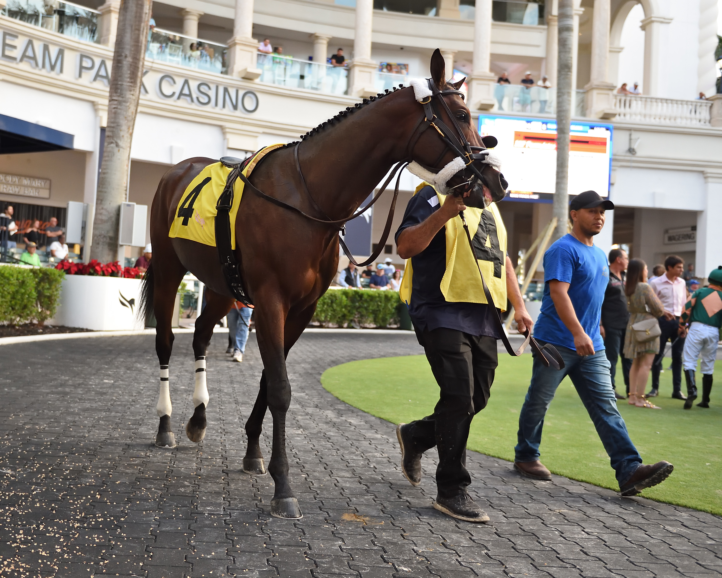 Super Corinto - Gulfstream Park