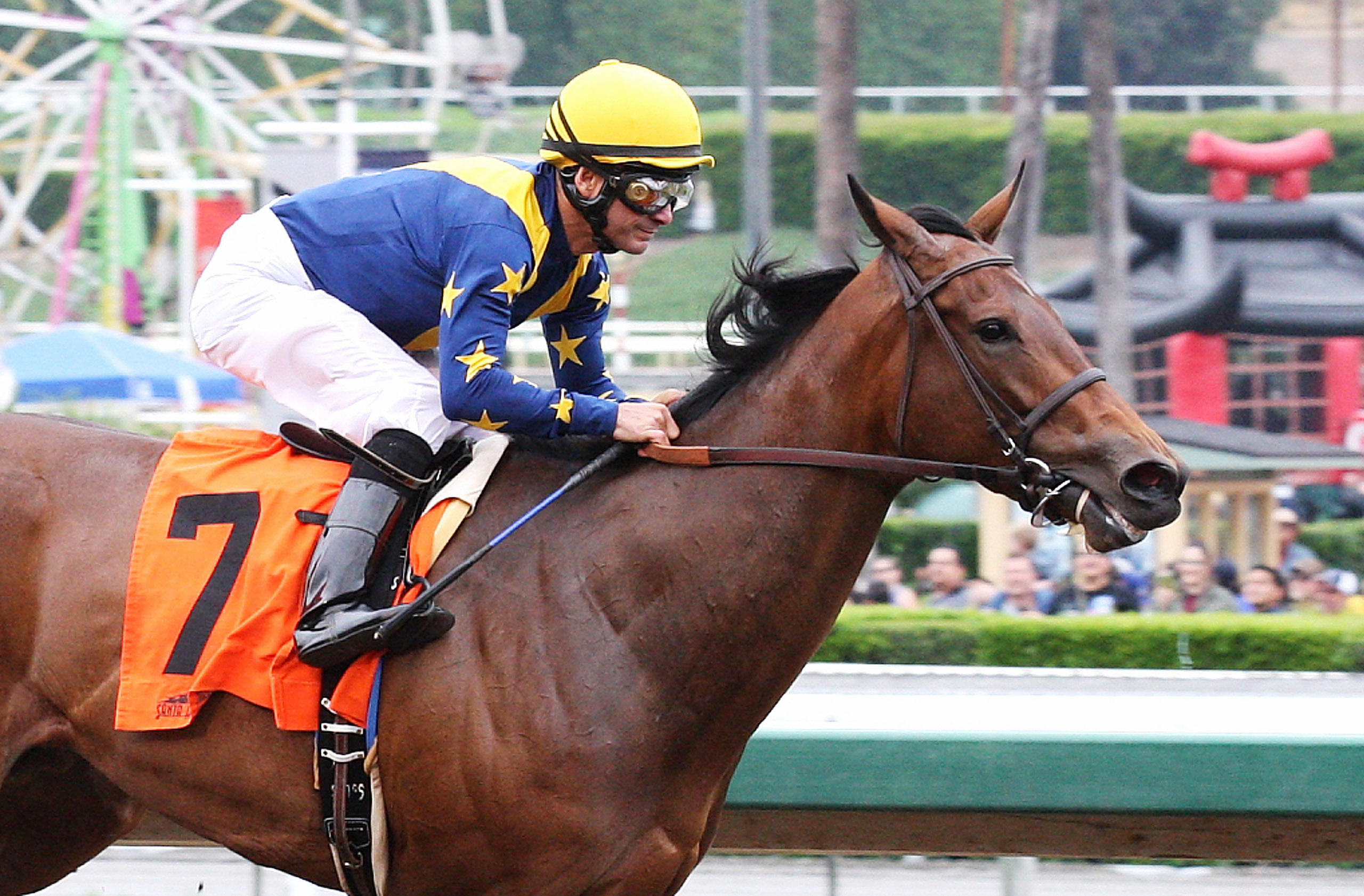 Super Majesty wins a maiden