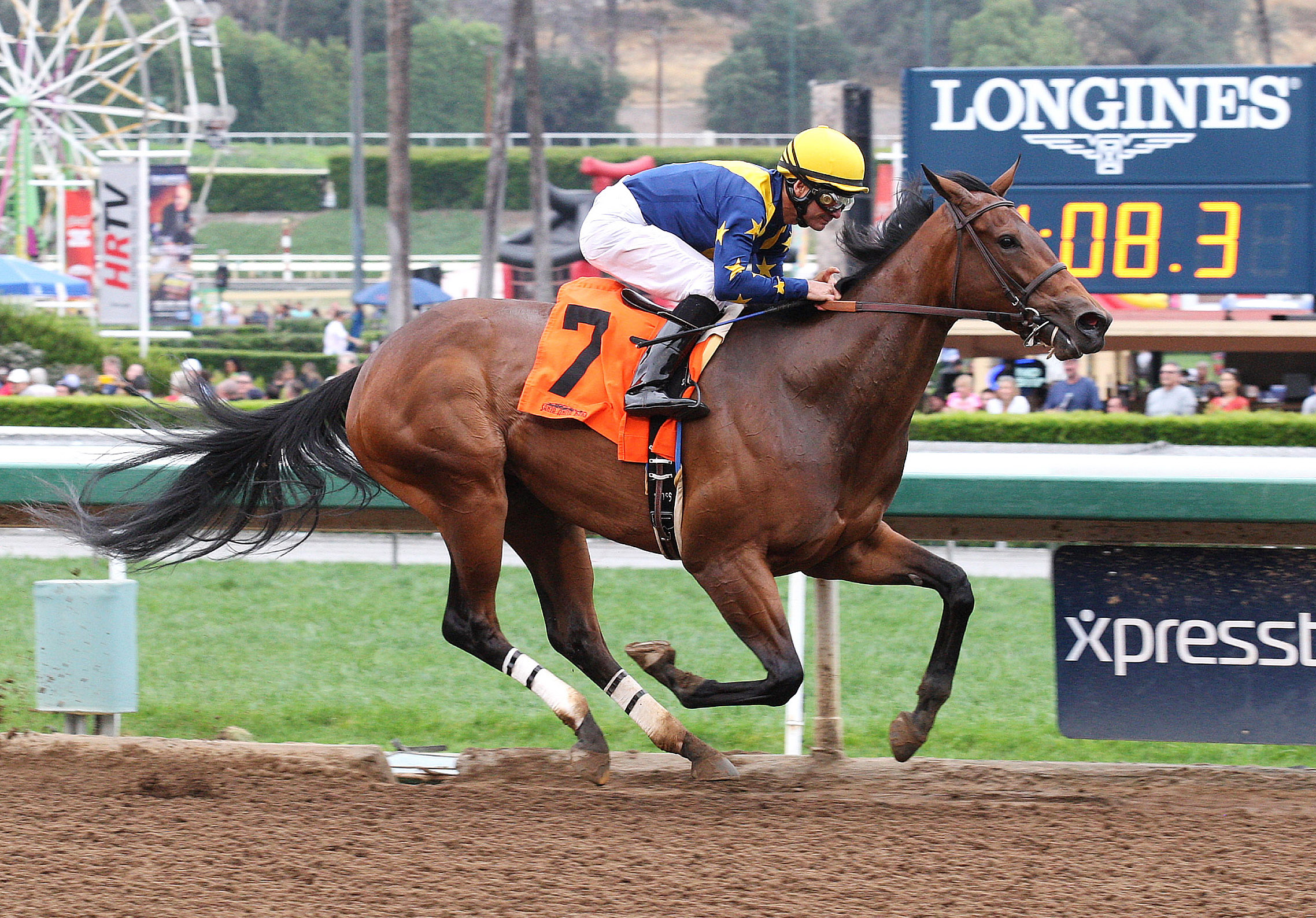Super Majesty wins a maiden