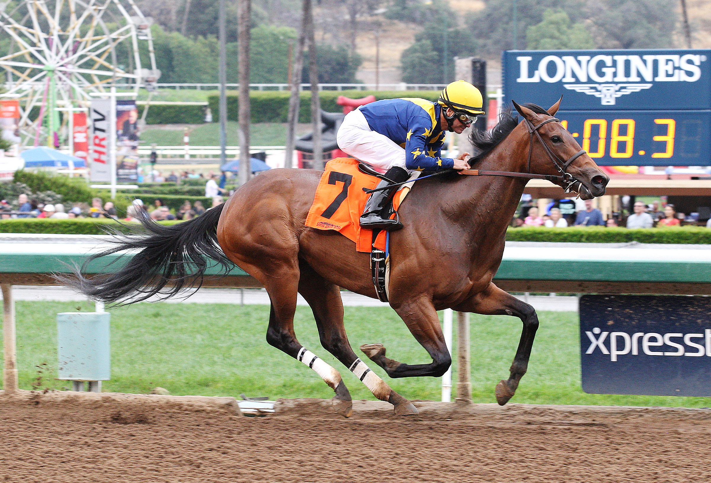 Super Majesty wins a maiden race
