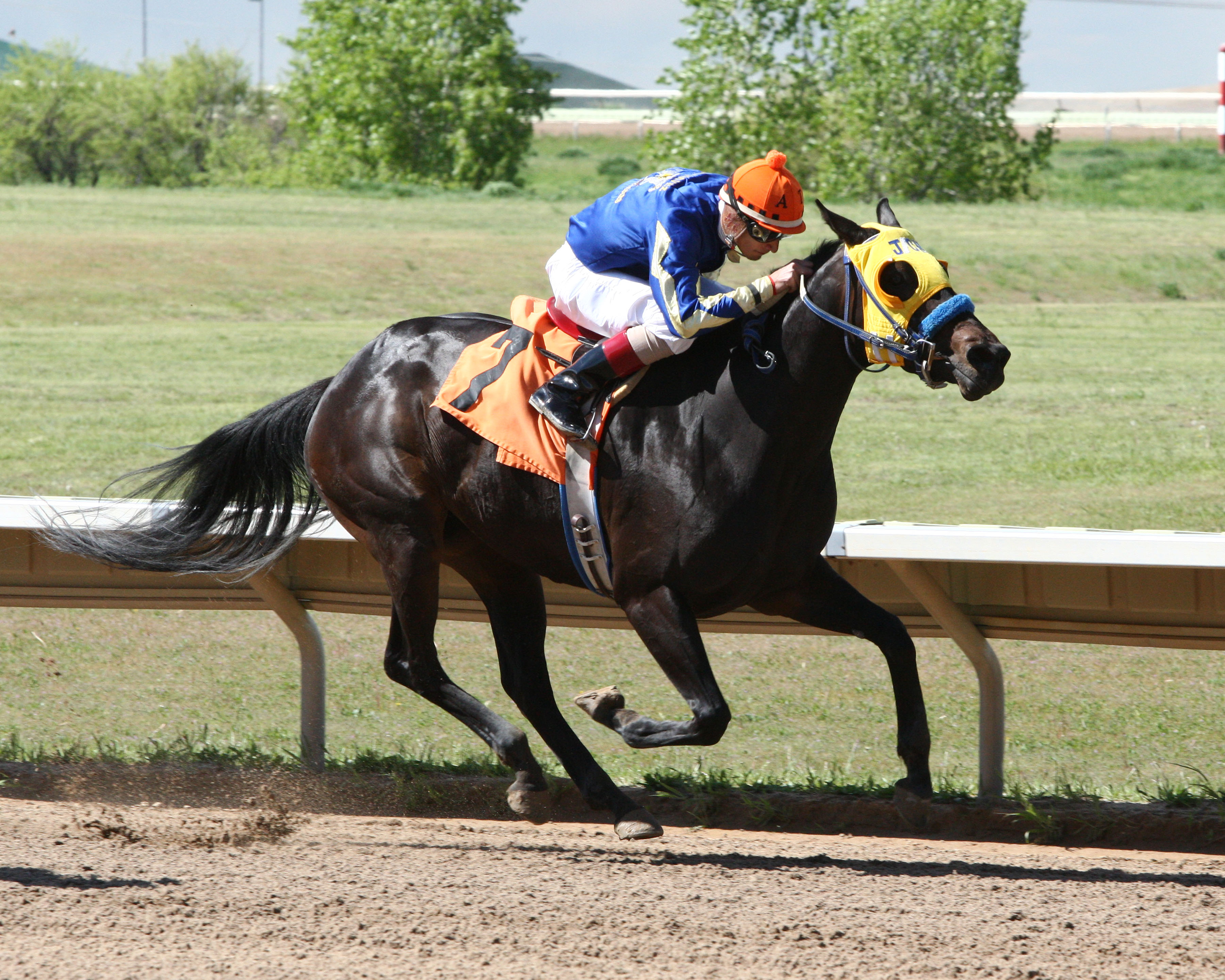Super One wins the 2016 Ingrid Knotts Stakes