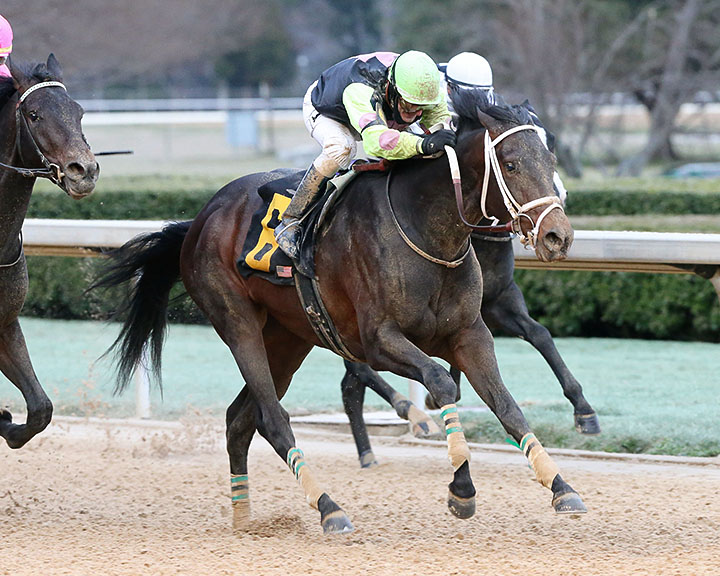 Super Steed wins the 2019 Southwest Stakes