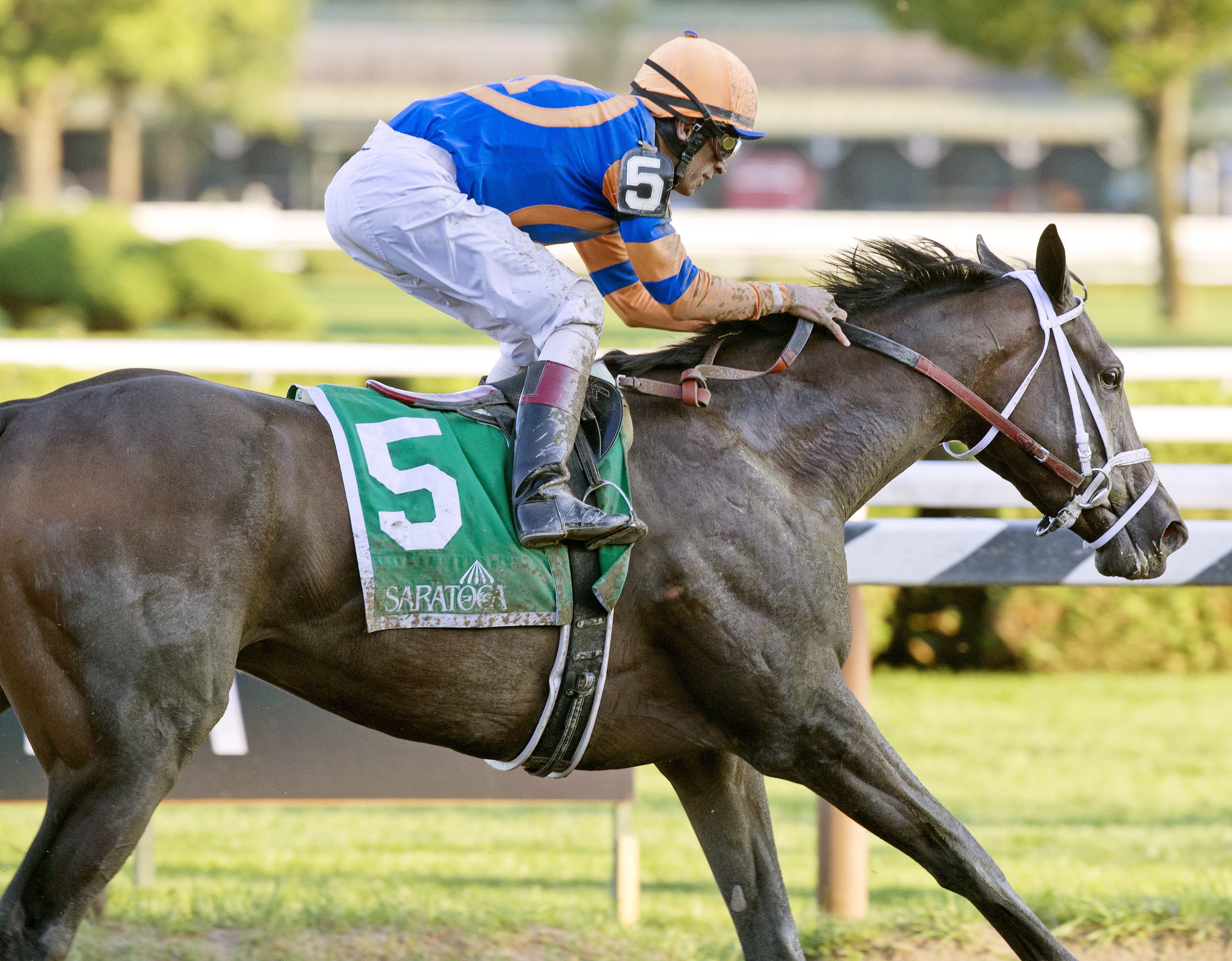 Super Surprise wins the Fleet Indian Stakes