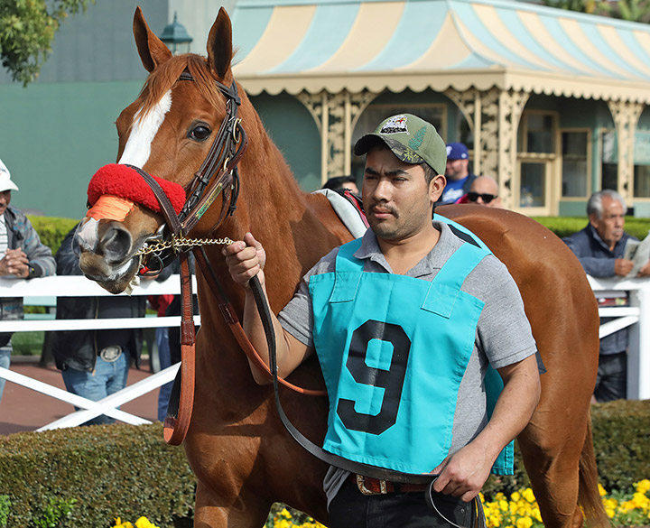 Super Patriot at Santa Anita Park on Feb. 22