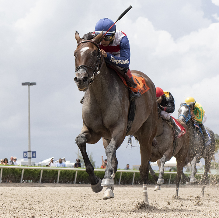 Supercommittee wins the Ginger Punch Stakes