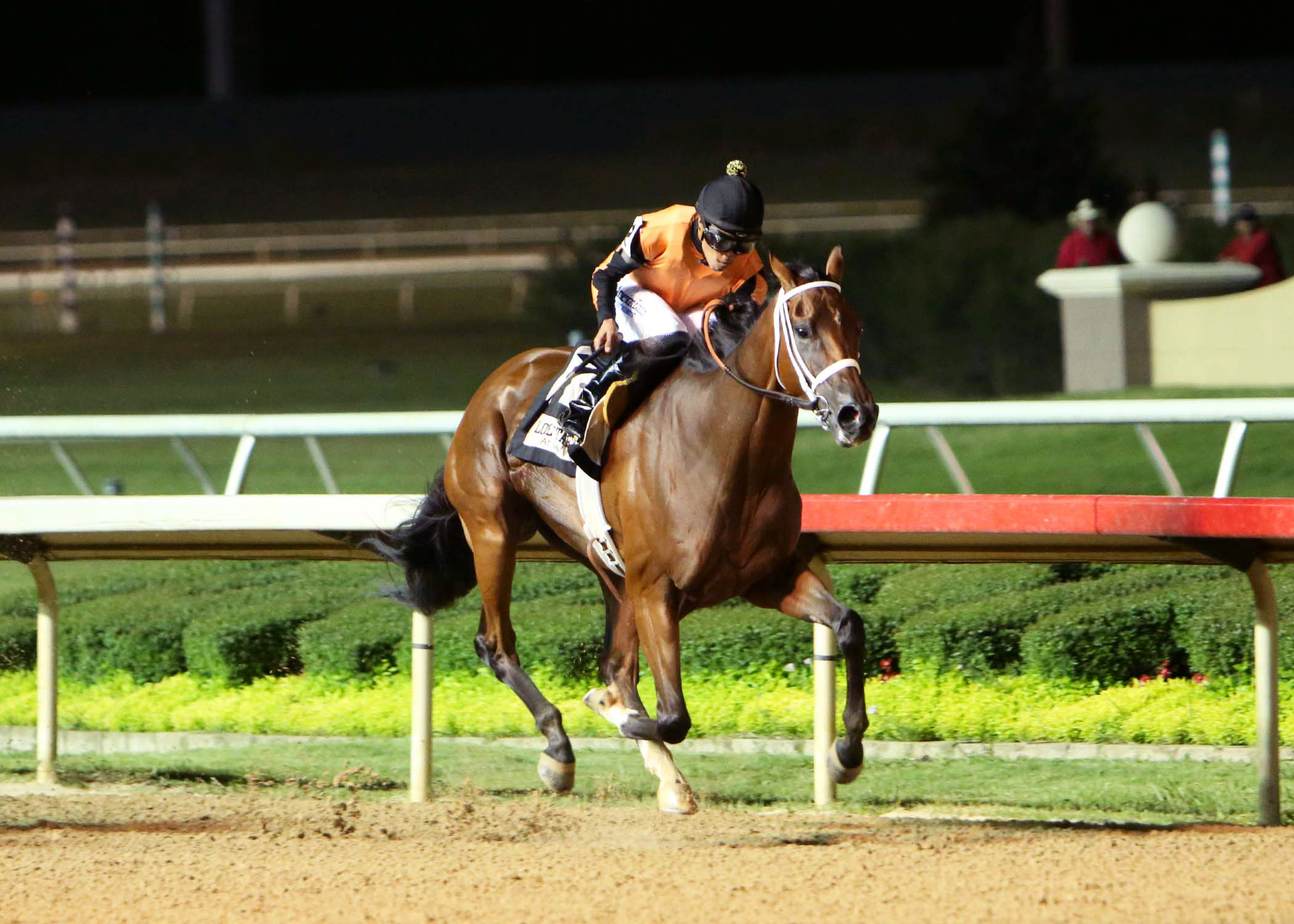 Supermason wins the Assault Stakes