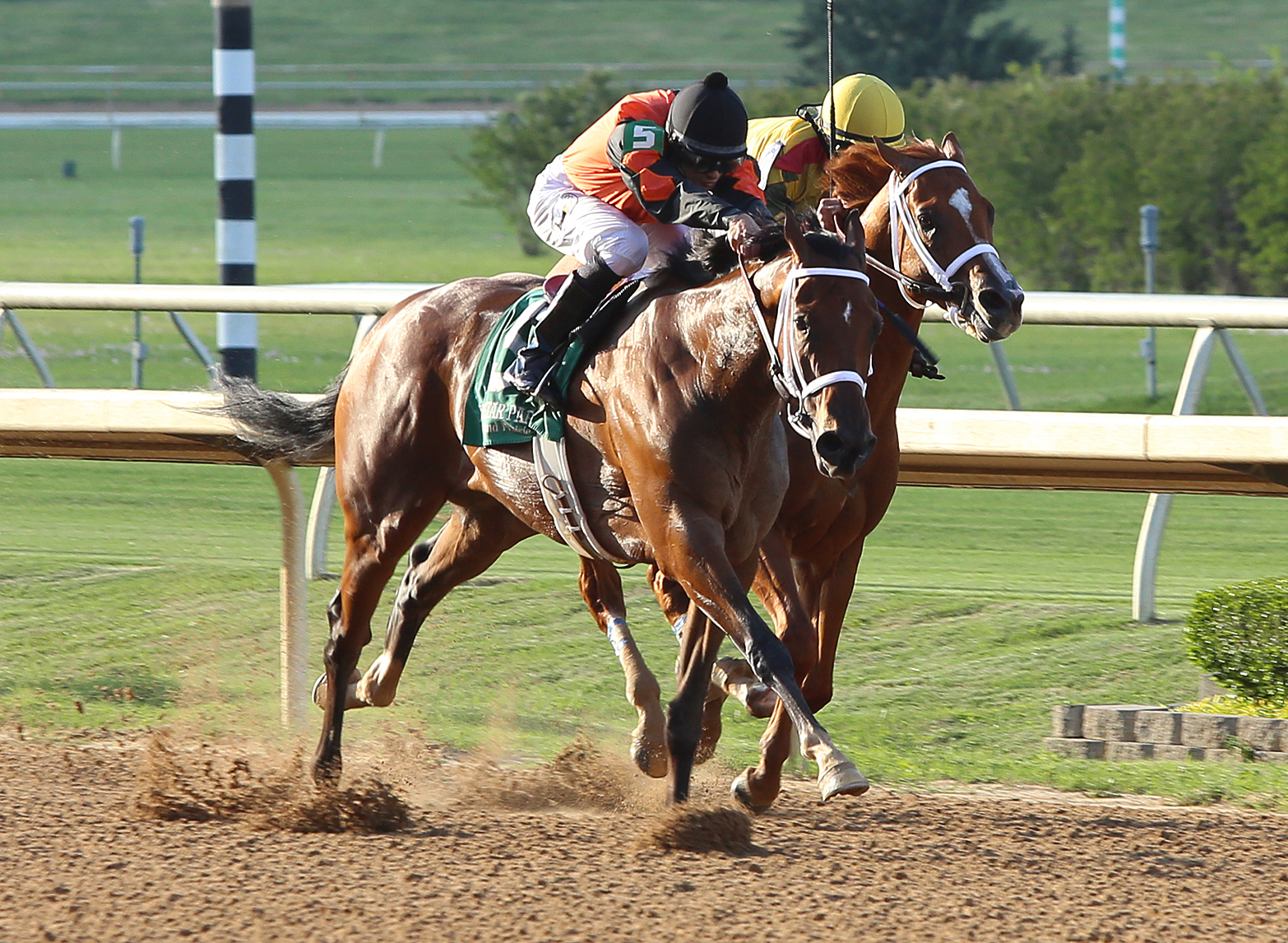 Supermason wins the 2017 Premiere Stakes