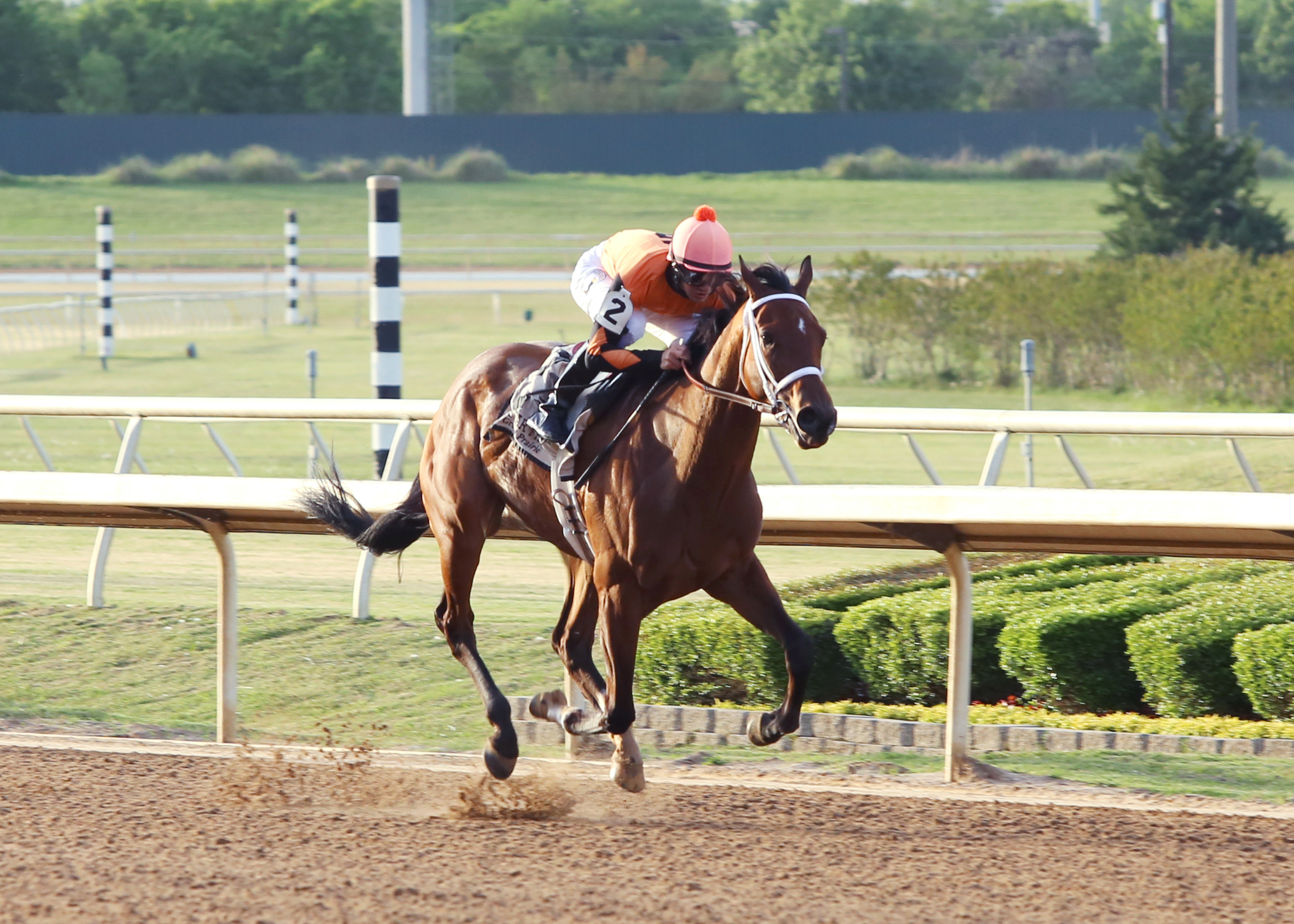 Supermason wins the Premiere Stakes