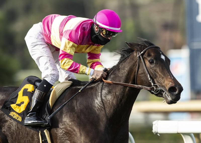 Superstition - Wishing Well Stakes