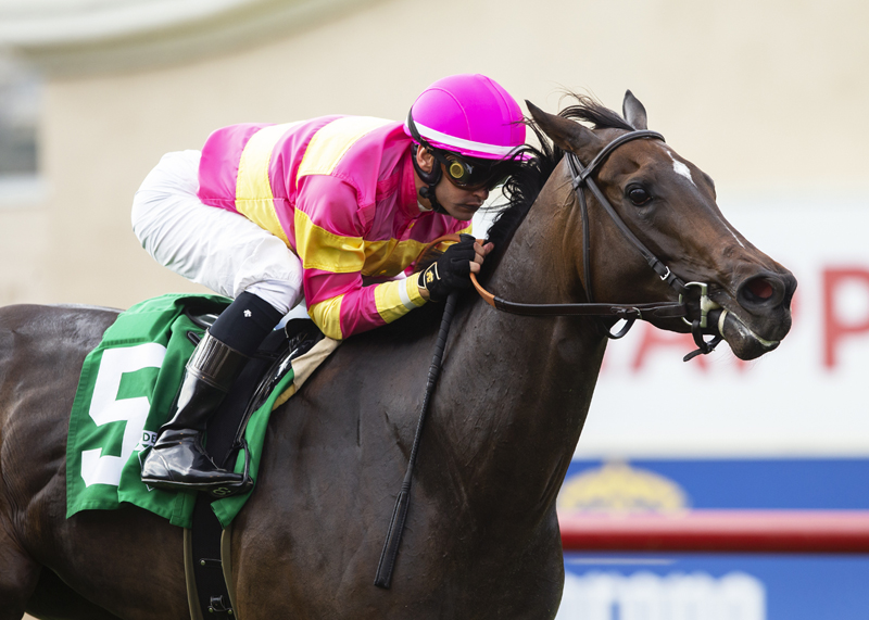 Superstition wins Daisycutter 7-25-2021