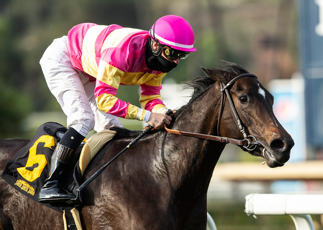 Superstition wins the 2021 Wishing Well Stakes at Santa Anita