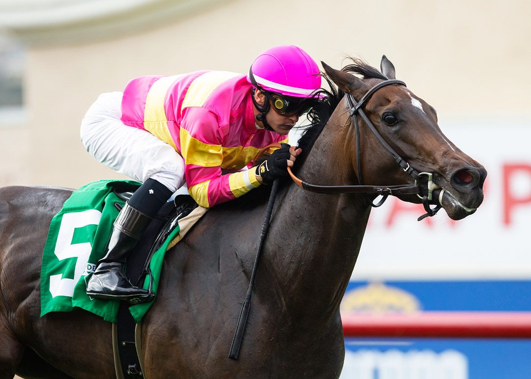 Superstition wins the 2021 Daisycutter Handicap at Del Mar