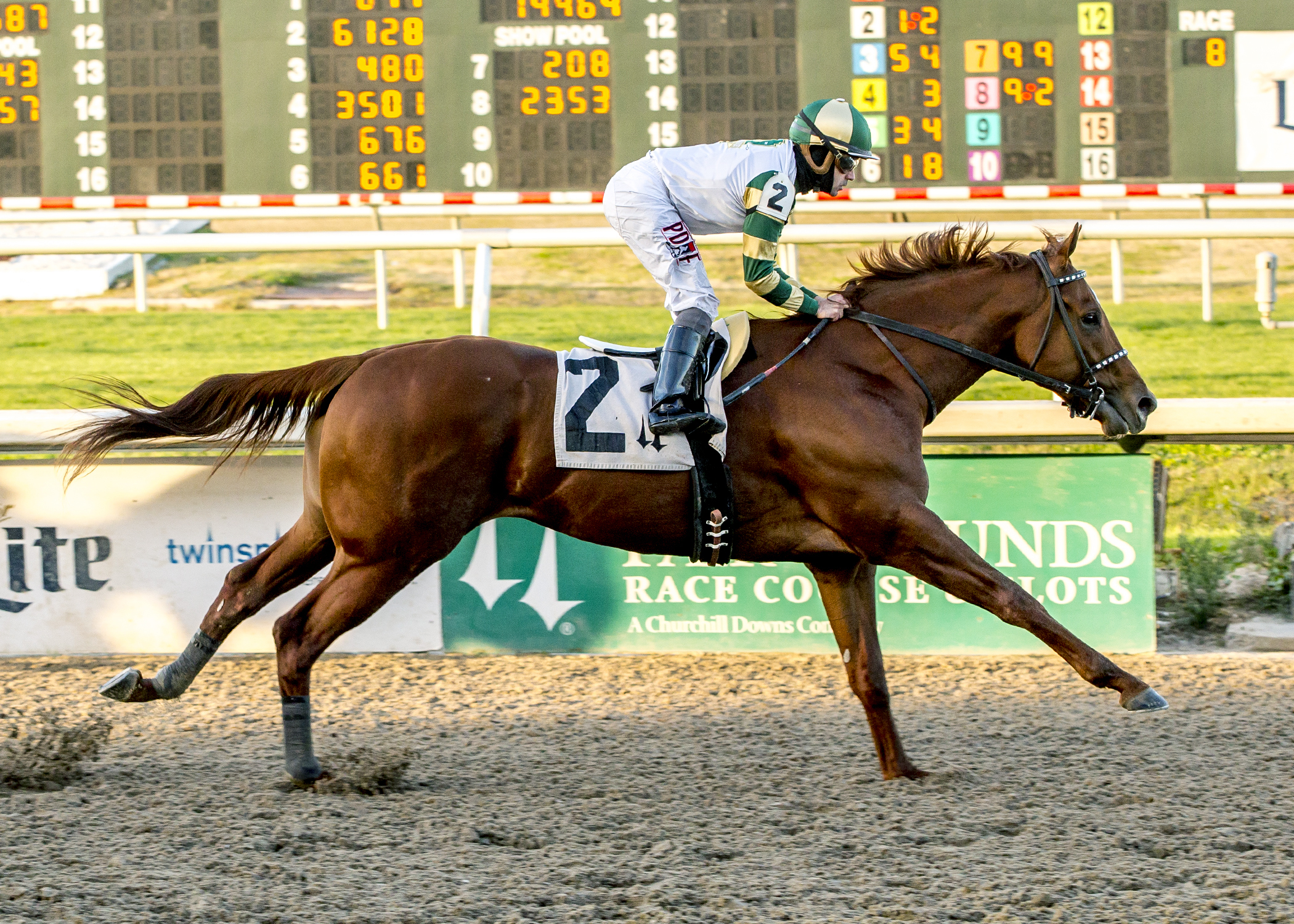 Supreme Aura wins a Jan. 5 allowance race