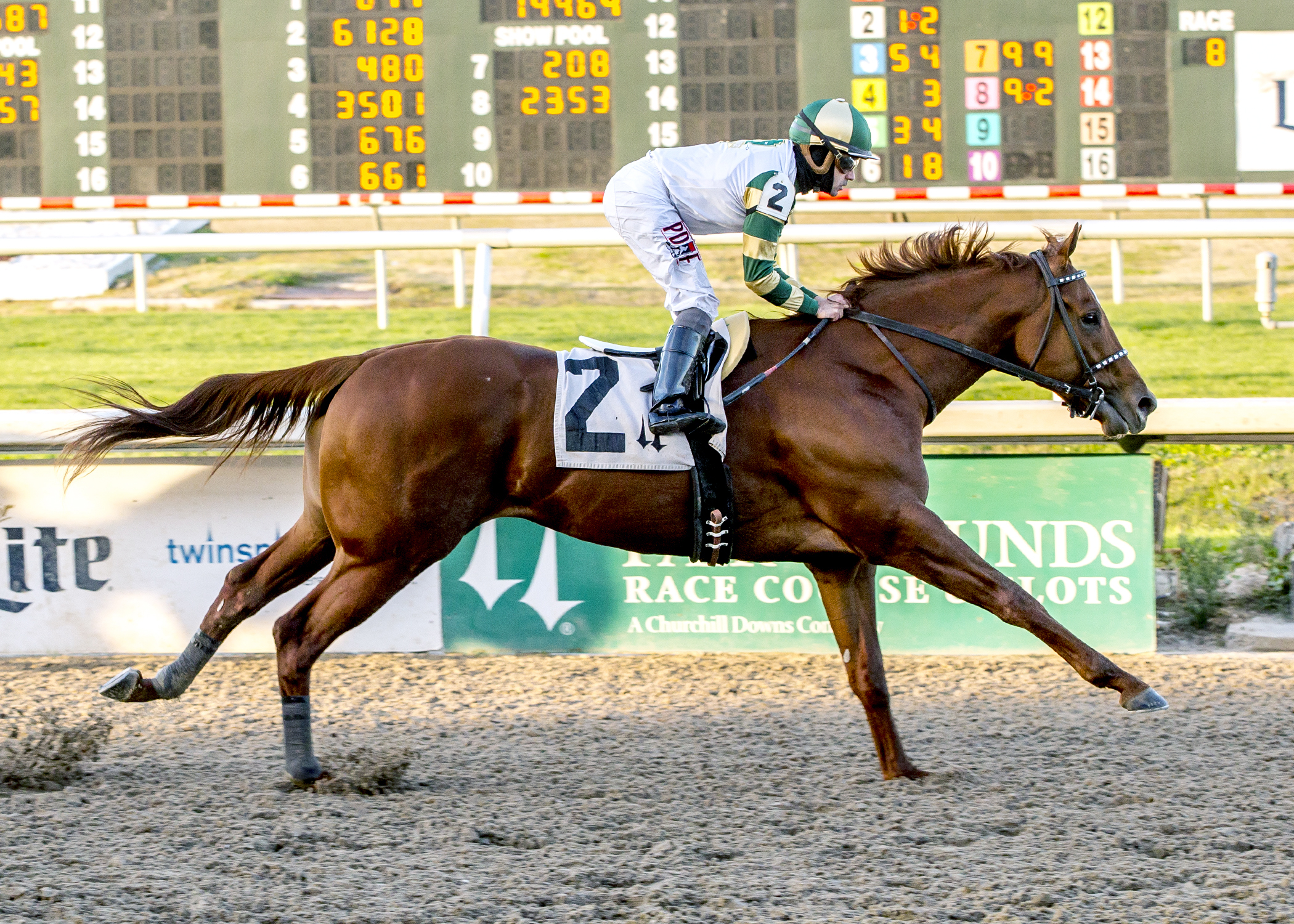 Supreme Aura wins a Jan. 5 allowance race