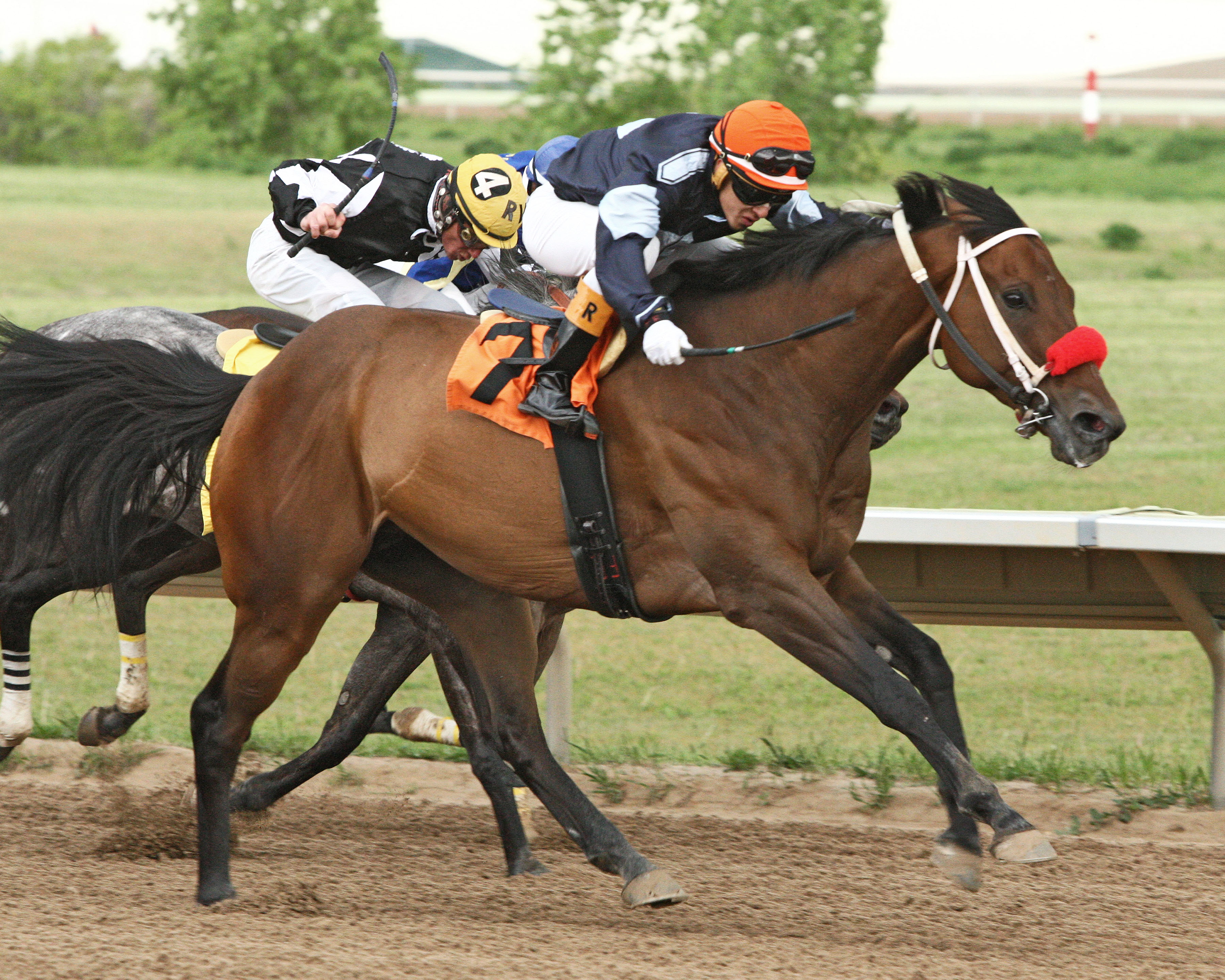 Surf N Ski wins the Arapahoe Park Sprint