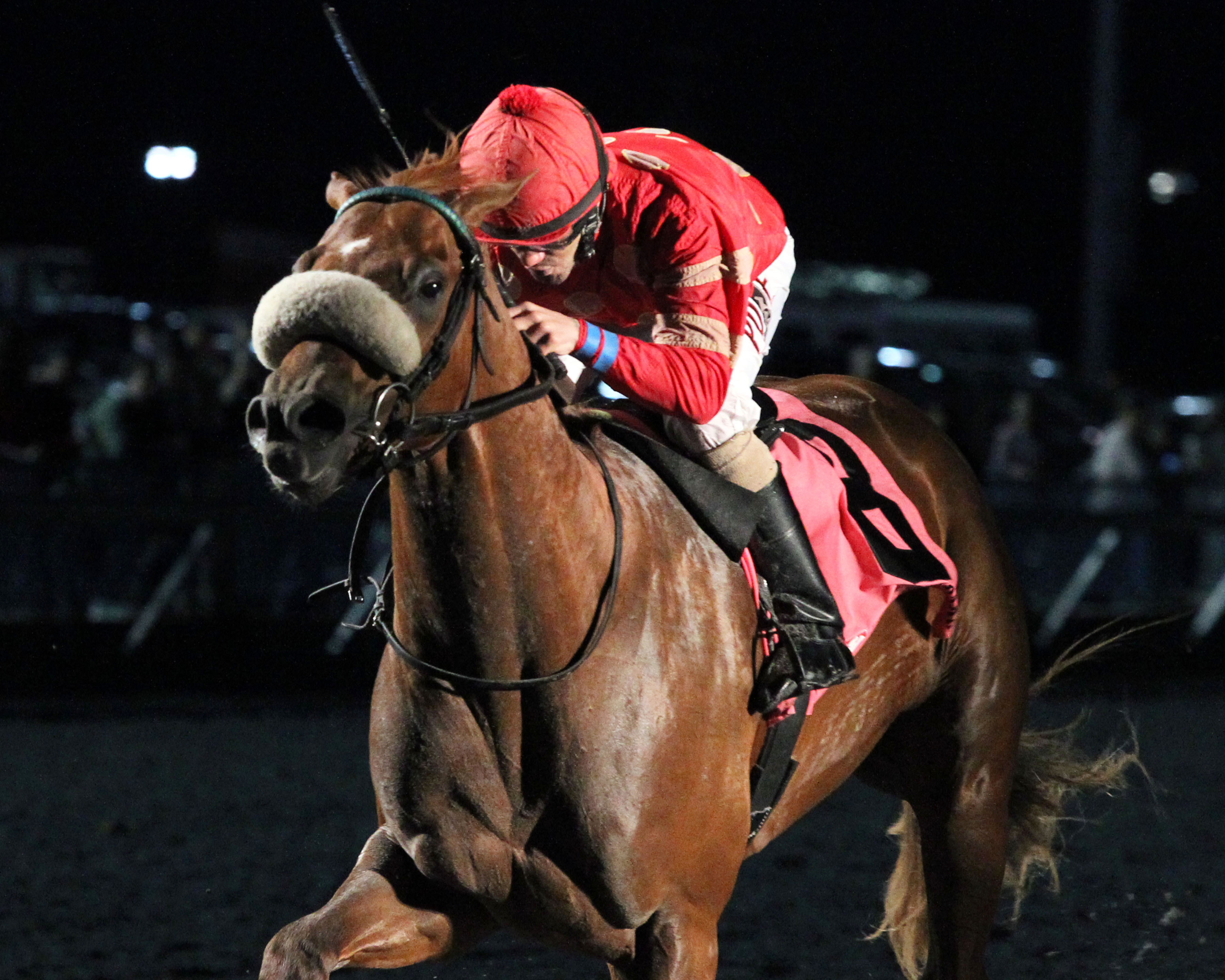 Surgical Strike wins the John Battaglia Memorial